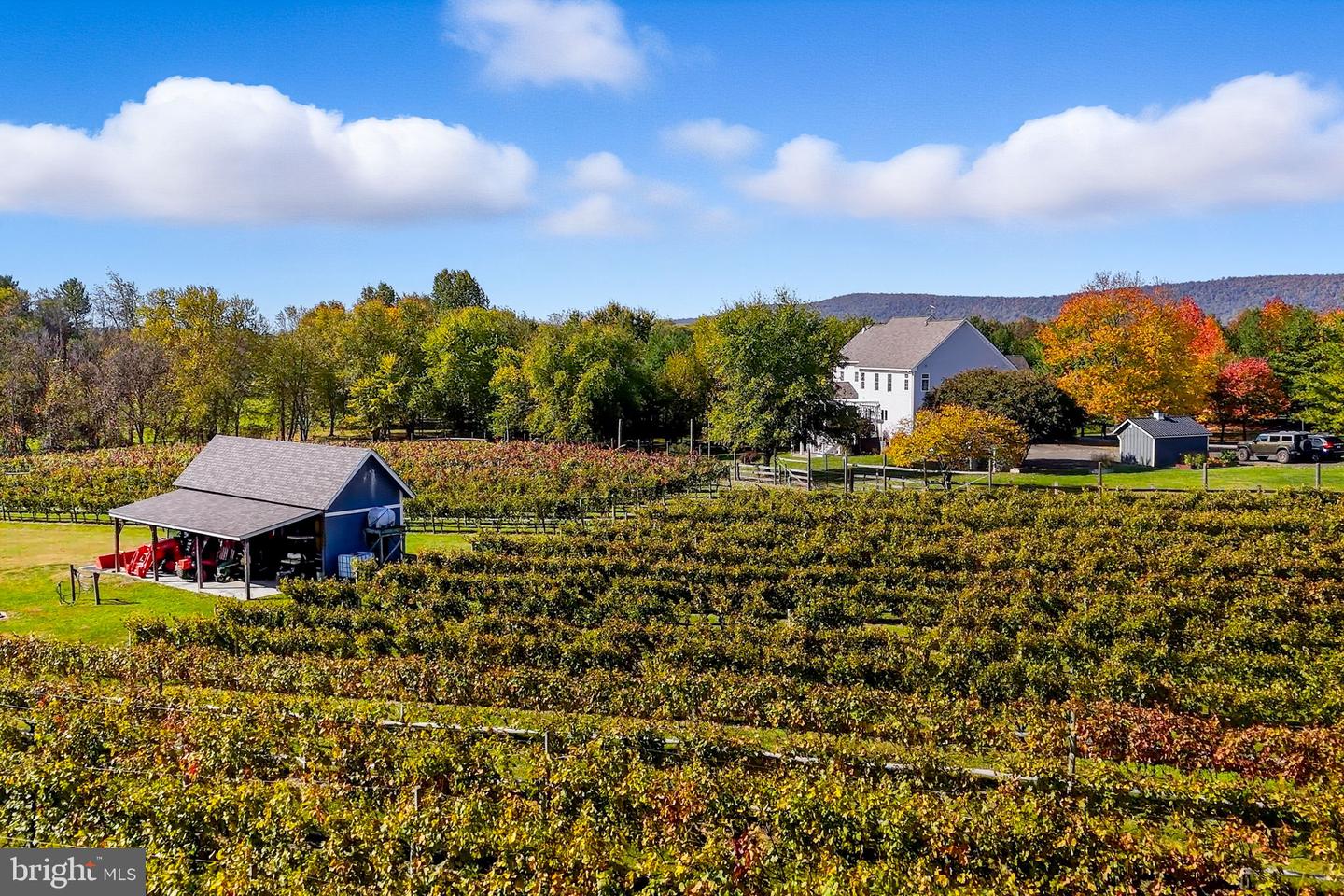 13902 BRONCO LN, LOVETTSVILLE, Virginia 20180, 4 Bedrooms Bedrooms, ,3 BathroomsBathrooms,Residential,For sale,13902 BRONCO LN,VALO2110032 MLS # VALO2110032 13902 BRONCO LN, LOVETTSVILLE, Virginia 20180, 4 Bedrooms Bedrooms, ,3 BathroomsBathrooms,Residential,For sale,13902 BRONCO LN,VALO2110032 MLS # VALO2110032