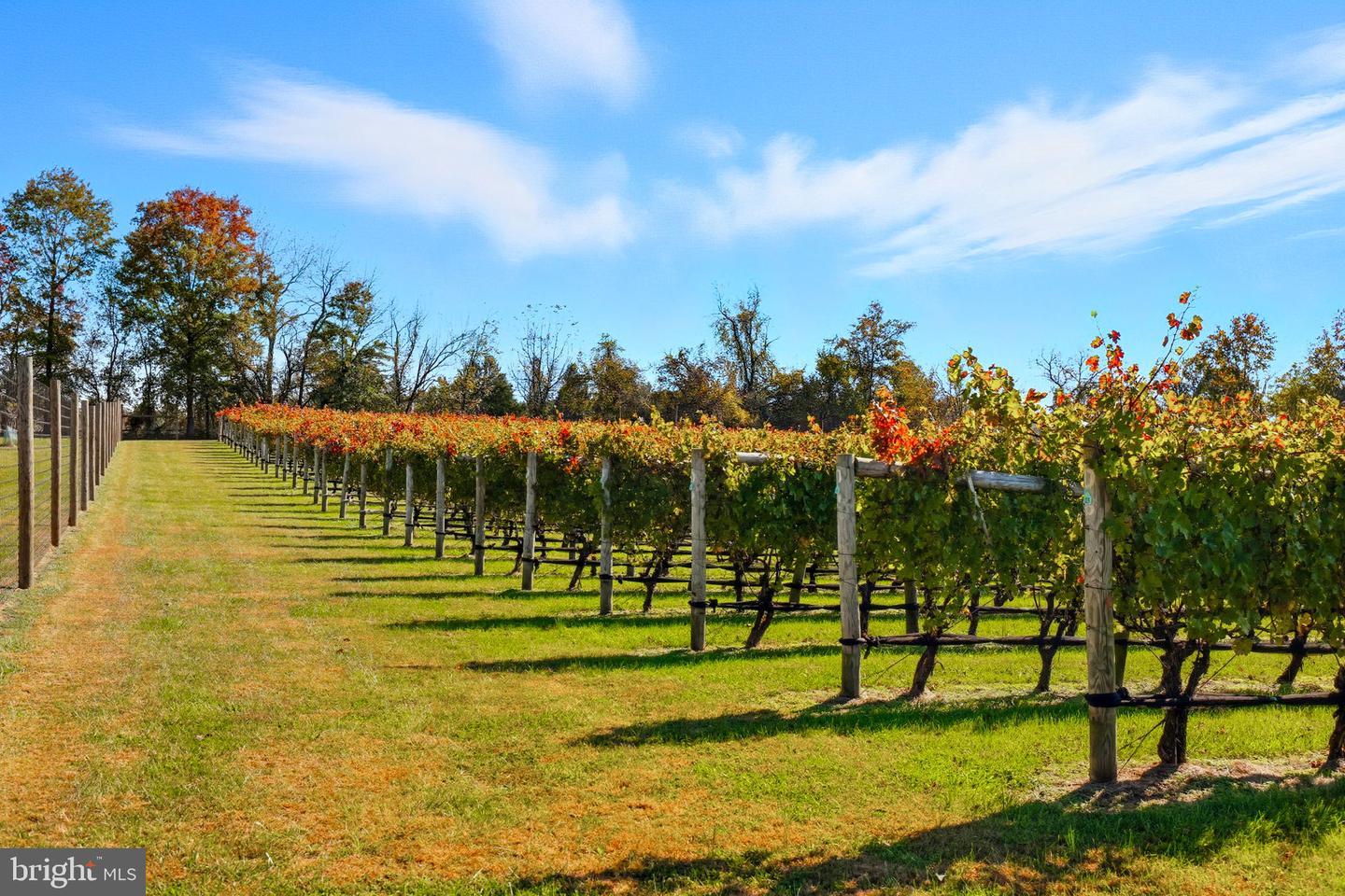 13902 BRONCO LN, LOVETTSVILLE, Virginia 20180, 4 Bedrooms Bedrooms, ,3 BathroomsBathrooms,Residential,For sale,13902 BRONCO LN,VALO2110032 MLS # VALO2110032 13902 BRONCO LN, LOVETTSVILLE, Virginia 20180, 4 Bedrooms Bedrooms, ,3 BathroomsBathrooms,Residential,For sale,13902 BRONCO LN,VALO2110032 MLS # VALO2110032