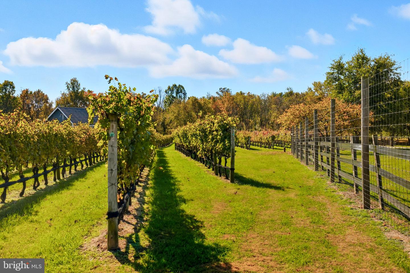 13902 BRONCO LN, LOVETTSVILLE, Virginia 20180, 4 Bedrooms Bedrooms, ,3 BathroomsBathrooms,Residential,For sale,13902 BRONCO LN,VALO2110032 MLS # VALO2110032 13902 BRONCO LN, LOVETTSVILLE, Virginia 20180, 4 Bedrooms Bedrooms, ,3 BathroomsBathrooms,Residential,For sale,13902 BRONCO LN,VALO2110032 MLS # VALO2110032