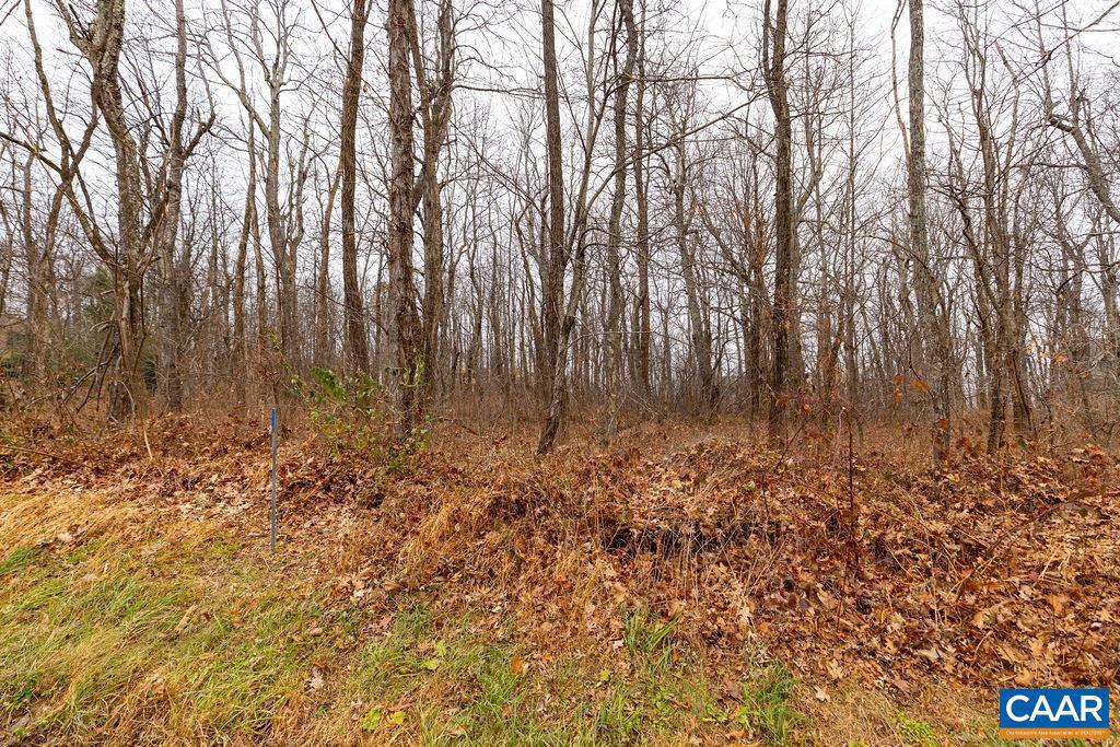 579 LAUREL SPRINGS DR #PRYOR CAMP II 25, WINTERGREEN RESORT, Virginia 22967, ,Land,For sale,579 LAUREL SPRINGS DR #PRYOR CAMP II 25,671494 MLS # 671494 579 LAUREL SPRINGS DR #PRYOR CAMP II 25, WINTERGREEN RESORT, Virginia 22967, ,Land,For sale,579 LAUREL SPRINGS DR #PRYOR CAMP II 25,671494 MLS # 671494