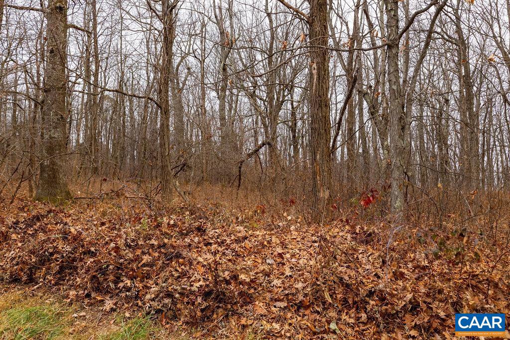 579 LAUREL SPRINGS DR #PRYOR CAMP II 25, WINTERGREEN RESORT, Virginia 22967, ,Land,For sale,579 LAUREL SPRINGS DR #PRYOR CAMP II 25,671494 MLS # 671494 579 LAUREL SPRINGS DR #PRYOR CAMP II 25, WINTERGREEN RESORT, Virginia 22967, ,Land,For sale,579 LAUREL SPRINGS DR #PRYOR CAMP II 25,671494 MLS # 671494