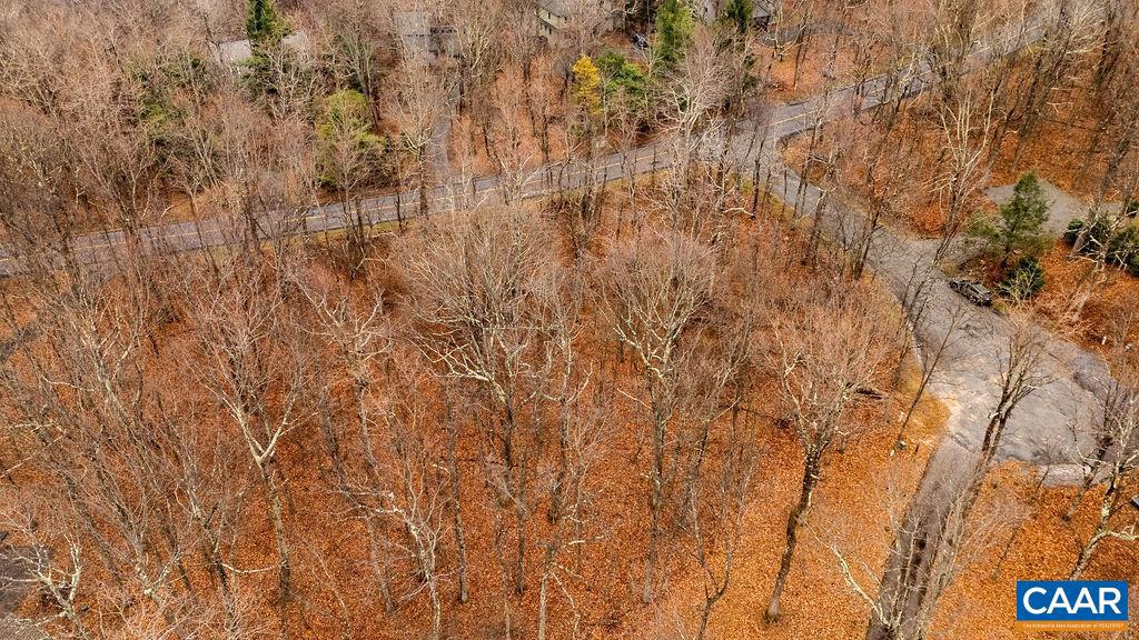 579 LAUREL SPRINGS DR #PRYOR CAMP II 25, WINTERGREEN RESORT, Virginia 22967, ,Land,For sale,579 LAUREL SPRINGS DR #PRYOR CAMP II 25,671494 MLS # 671494 579 LAUREL SPRINGS DR #PRYOR CAMP II 25, WINTERGREEN RESORT, Virginia 22967, ,Land,For sale,579 LAUREL SPRINGS DR #PRYOR CAMP II 25,671494 MLS # 671494