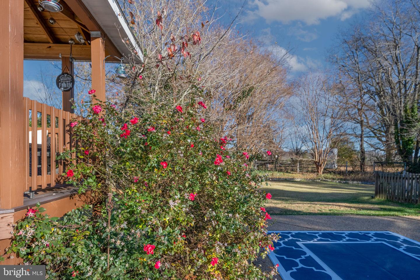 7508 DAUGHTRY DR, FREDERICKSBURG, Virginia 22407, 4 Bedrooms Bedrooms, 12 Rooms Rooms,3 BathroomsBathrooms,Residential,For sale,7508 DAUGHTRY DR,VASP2037848 MLS # VASP2037848 7508 DAUGHTRY DR, FREDERICKSBURG, Virginia 22407, 4 Bedrooms Bedrooms, 12 Rooms Rooms,3 BathroomsBathrooms,Residential,For sale,7508 DAUGHTRY DR,VASP2037848 MLS # VASP2037848