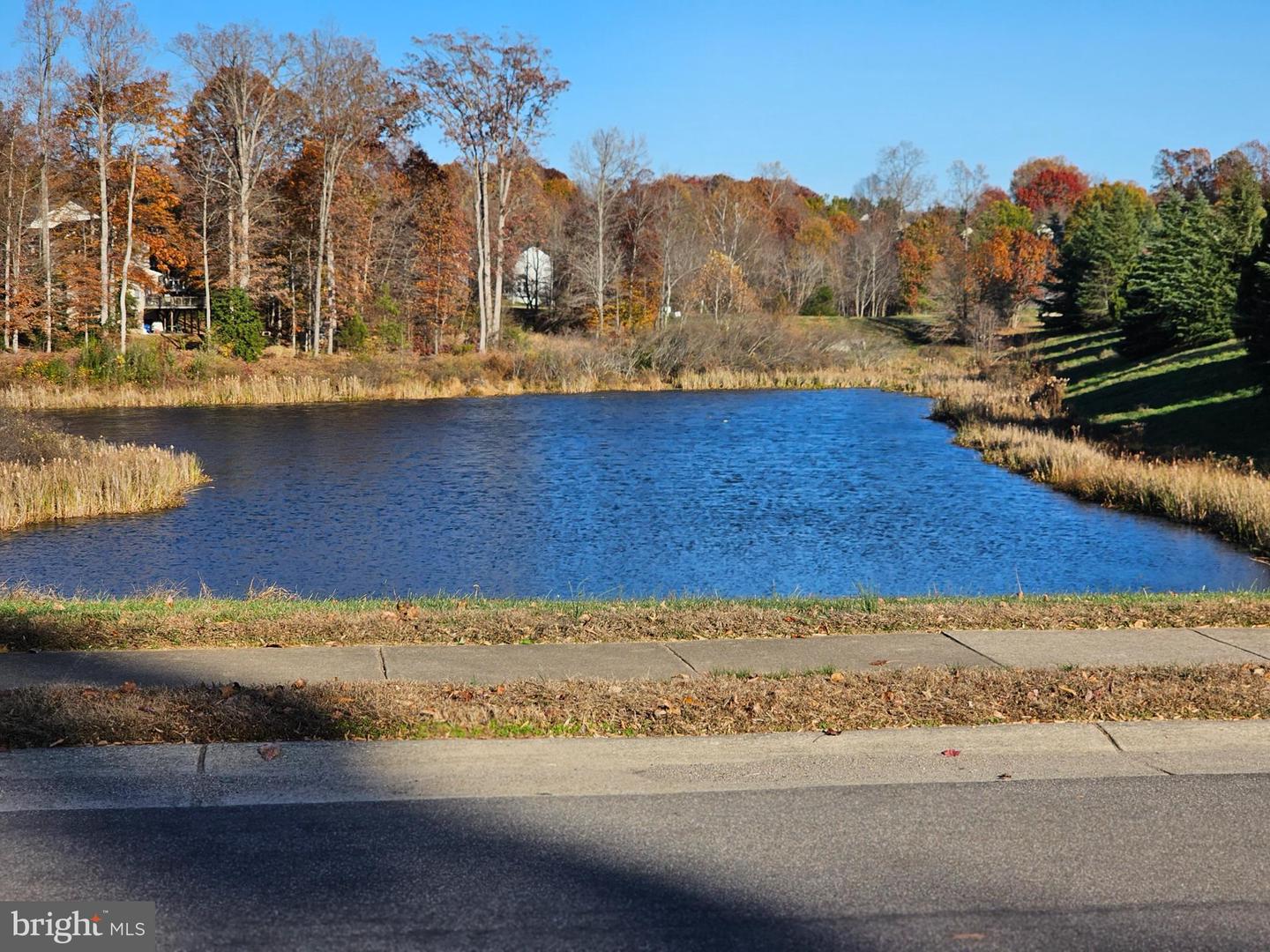 2 GRACE MANOR CT, FREDERICKSBURG, Virginia 22406, 6 Bedrooms Bedrooms, ,4 BathroomsBathrooms,Residential,For sale,2 GRACE MANOR CT,VAST2044258 MLS # VAST2044258 2 GRACE MANOR CT, FREDERICKSBURG, Virginia 22406, 6 Bedrooms Bedrooms, ,4 BathroomsBathrooms,Residential,For sale,2 GRACE MANOR CT,VAST2044258 MLS # VAST2044258