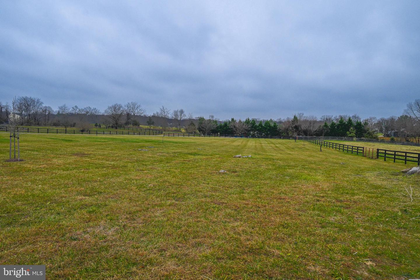 165 ANCIENT OAK LN, BERRYVILLE, Virginia 22611, 4 Bedrooms Bedrooms, 12 Rooms Rooms,3 BathroomsBathrooms,Residential,For sale,165 ANCIENT OAK LN,VACL2006242 MLS # VACL2006242 165 ANCIENT OAK LN, BERRYVILLE, Virginia 22611, 4 Bedrooms Bedrooms, 12 Rooms Rooms,3 BathroomsBathrooms,Residential,For sale,165 ANCIENT OAK LN,VACL2006242 MLS # VACL2006242