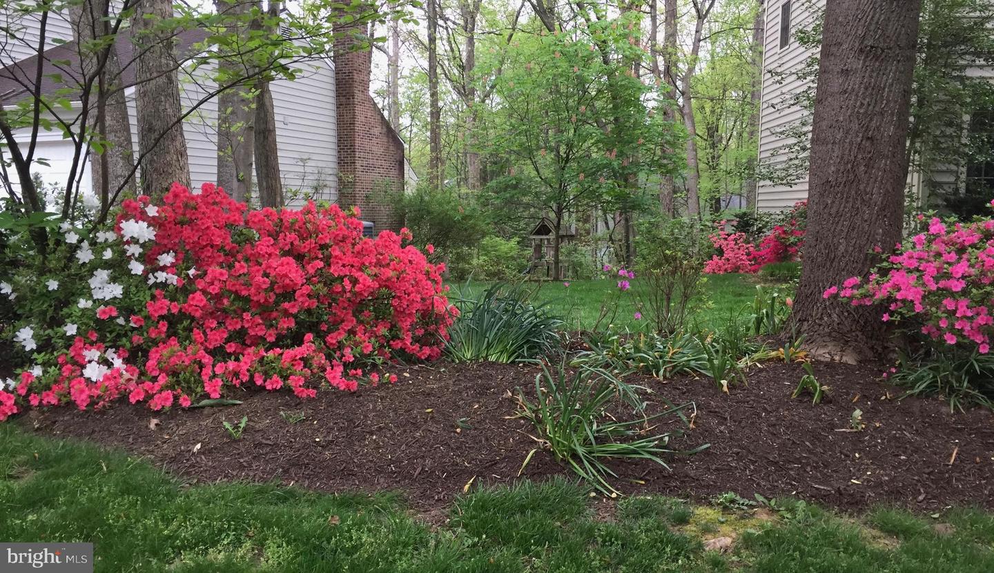 2218 WAKEROBIN LN, RESTON, Virginia 20191, 4 Bedrooms Bedrooms, ,3 BathroomsBathrooms,Residential,For sale,2218 WAKEROBIN LN,VAFX2280284 MLS # VAFX2280284 2218 WAKEROBIN LN, RESTON, Virginia 20191, 4 Bedrooms Bedrooms, ,3 BathroomsBathrooms,Residential,For sale,2218 WAKEROBIN LN,VAFX2280284 MLS # VAFX2280284