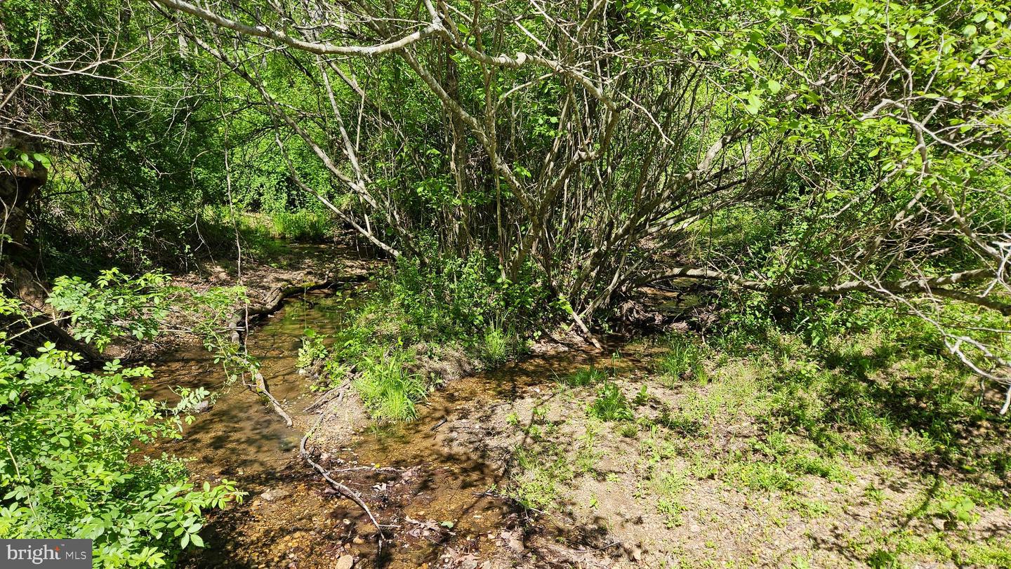 559 BESSIE BELL MOUNTAIN RD, CASTLETON, Virginia 22716, 3 Bedrooms Bedrooms, ,2 BathroomsBathrooms,Residential,For sale,559 BESSIE BELL MOUNTAIN RD,VARP2002080 MLS # VARP2002080