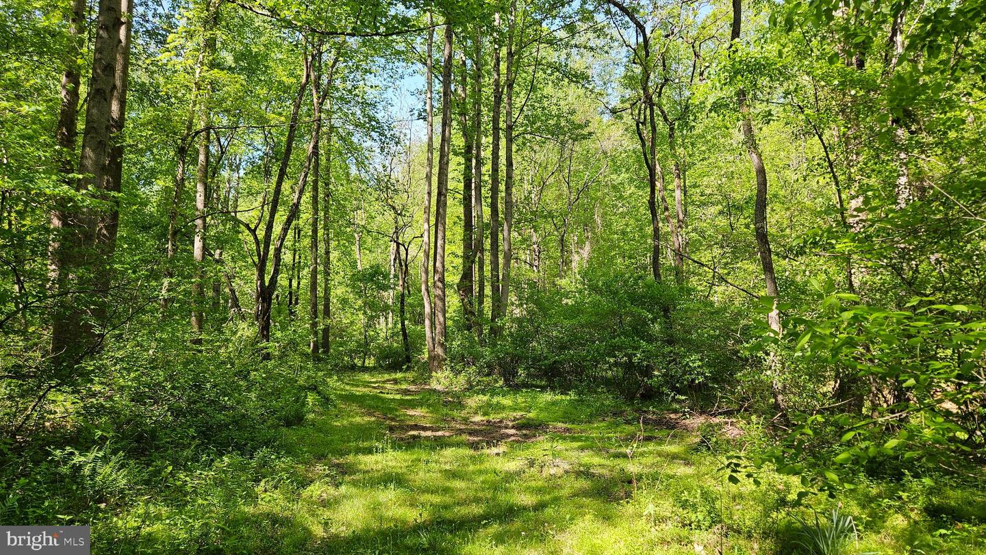 559 BESSIE BELL MOUNTAIN RD, CASTLETON, Virginia 22716, 3 Bedrooms Bedrooms, ,2 BathroomsBathrooms,Residential,For sale,559 BESSIE BELL MOUNTAIN RD,VARP2002080 MLS # VARP2002080