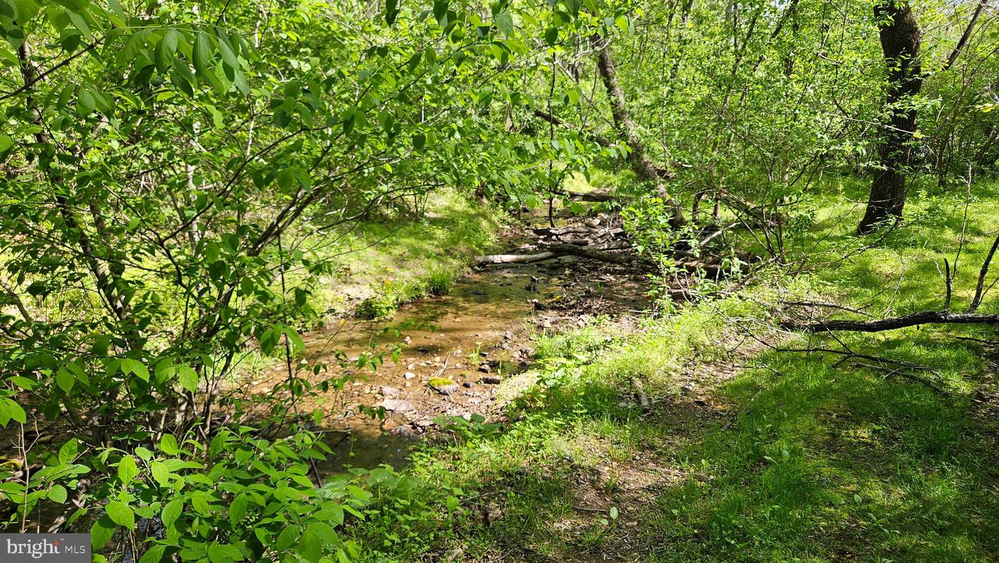 559 BESSIE BELL MOUNTAIN RD, CASTLETON, Virginia 22716, 3 Bedrooms Bedrooms, ,2 BathroomsBathrooms,Residential,For sale,559 BESSIE BELL MOUNTAIN RD,VARP2002080 MLS # VARP2002080