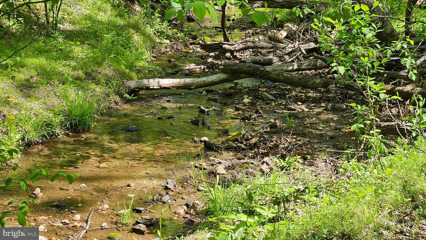 559 BESSIE BELL MOUNTAIN RD, CASTLETON, Virginia 22716, 3 Bedrooms Bedrooms, ,2 BathroomsBathrooms,Residential,For sale,559 BESSIE BELL MOUNTAIN RD,VARP2002080 MLS # VARP2002080