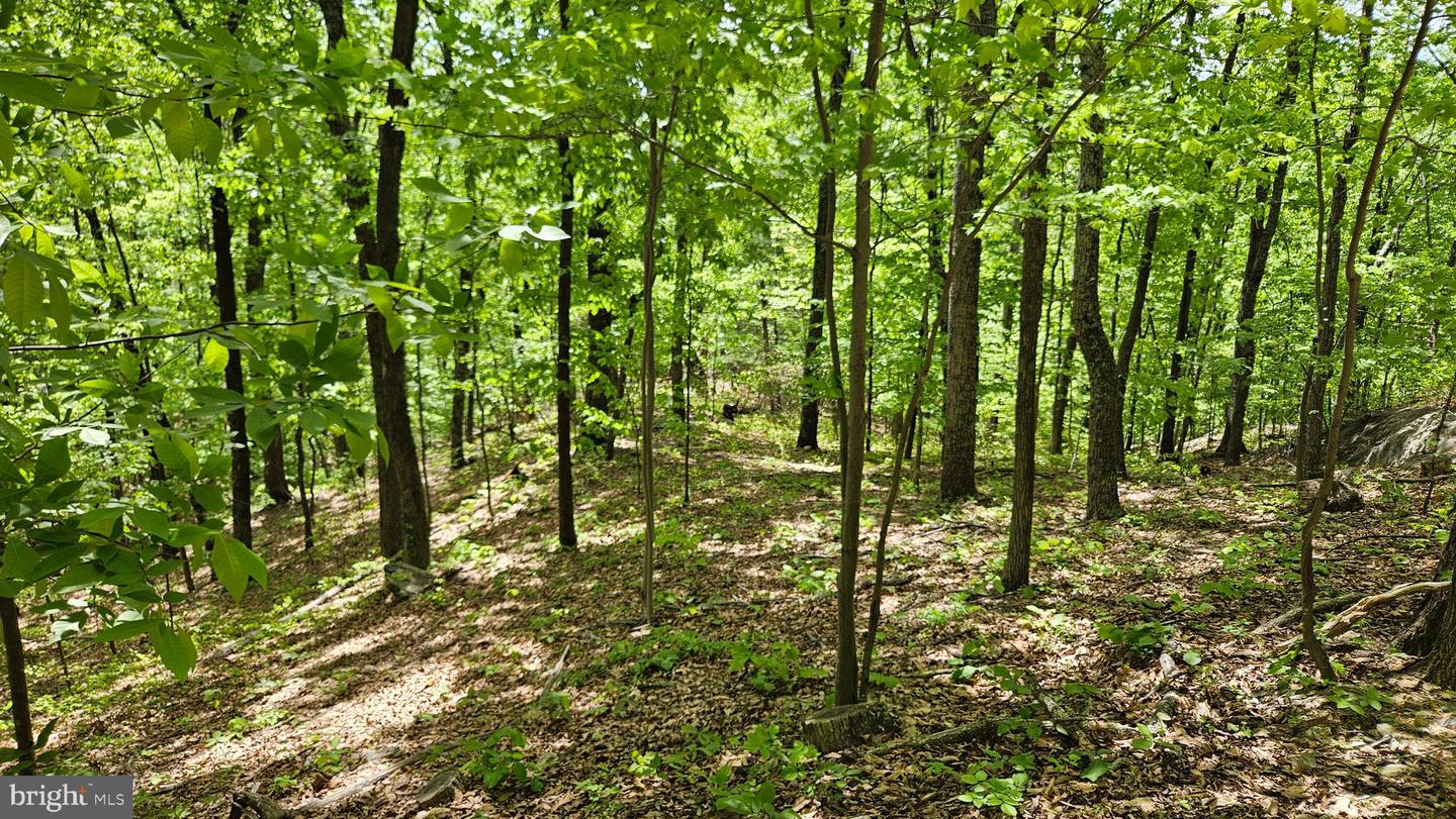 559 BESSIE BELL MOUNTAIN RD, CASTLETON, Virginia 22716, 3 Bedrooms Bedrooms, ,2 BathroomsBathrooms,Residential,For sale,559 BESSIE BELL MOUNTAIN RD,VARP2002080 MLS # VARP2002080