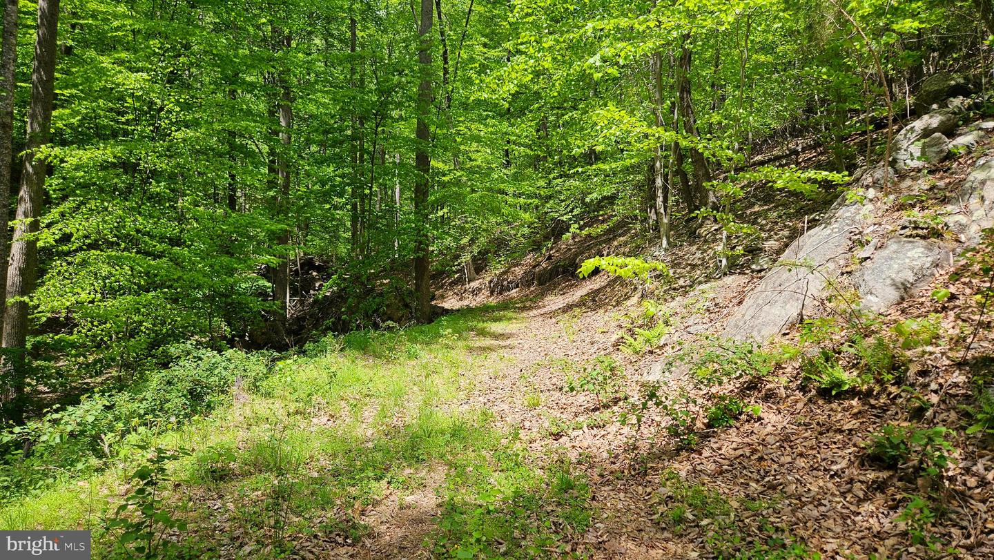 559 BESSIE BELL MOUNTAIN RD, CASTLETON, Virginia 22716, 3 Bedrooms Bedrooms, ,2 BathroomsBathrooms,Residential,For sale,559 BESSIE BELL MOUNTAIN RD,VARP2002080 MLS # VARP2002080