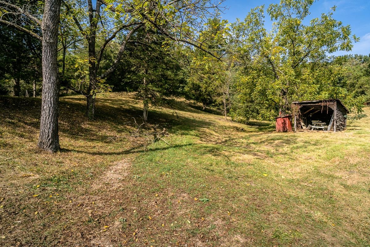 4771 MILL CREEK RD, MOUNT JACKSON, Virginia 22842, 2 Bedrooms Bedrooms, ,2 BathroomsBathrooms,Residential,4771 MILL CREEK RD,670819 MLS # 670819