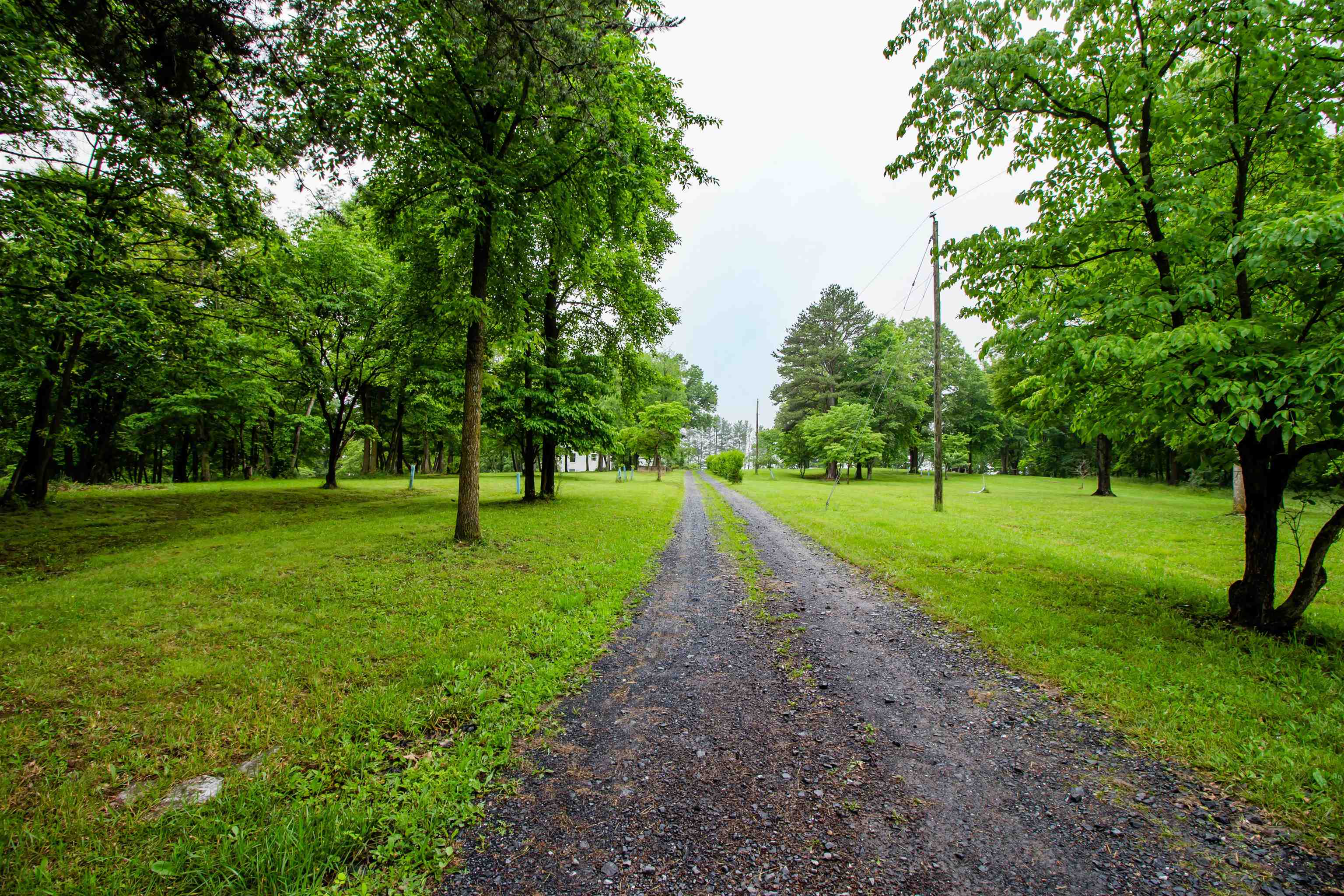 7377 APPLE RIDGE DR, TIMBERVILLE, Virginia 22853, 4 Bedrooms Bedrooms, ,3 BathroomsBathrooms,Residential,7377 APPLE RIDGE DR,665160 MLS # 665160