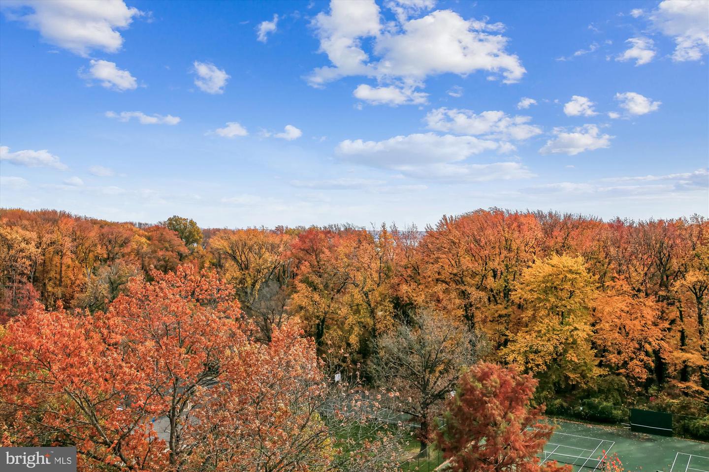 6621 WAKEFIELD DR #910, ALEXANDRIA, Virginia 22307, 1 Bedroom Bedrooms, ,1 BathroomBathrooms,Residential,For sale,6621 WAKEFIELD DR #910,VAFX2264882 MLS # VAFX2264882