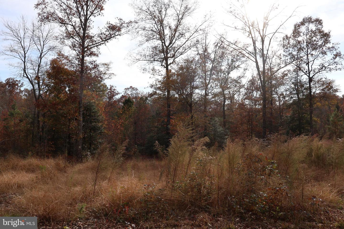 CHARLES CITY, Virginia 23030, 3 Bedrooms Bedrooms, 5 Rooms Rooms,2 BathroomsBathrooms,Residential,For sale,VACS2000058 MLS # VACS2000058