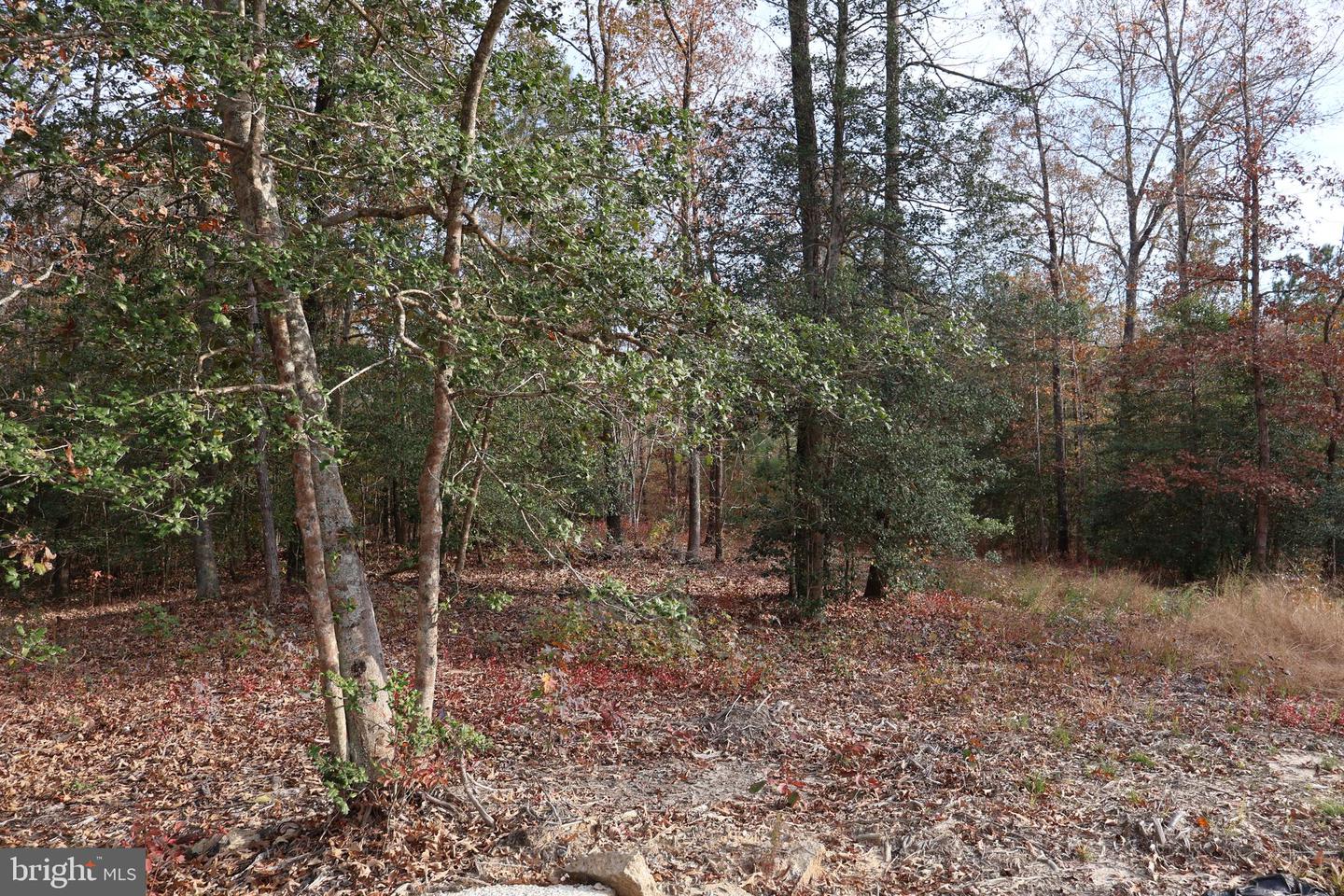 CHARLES CITY, Virginia 23030, 3 Bedrooms Bedrooms, 5 Rooms Rooms,2 BathroomsBathrooms,Residential,For sale,VACS2000058 MLS # VACS2000058