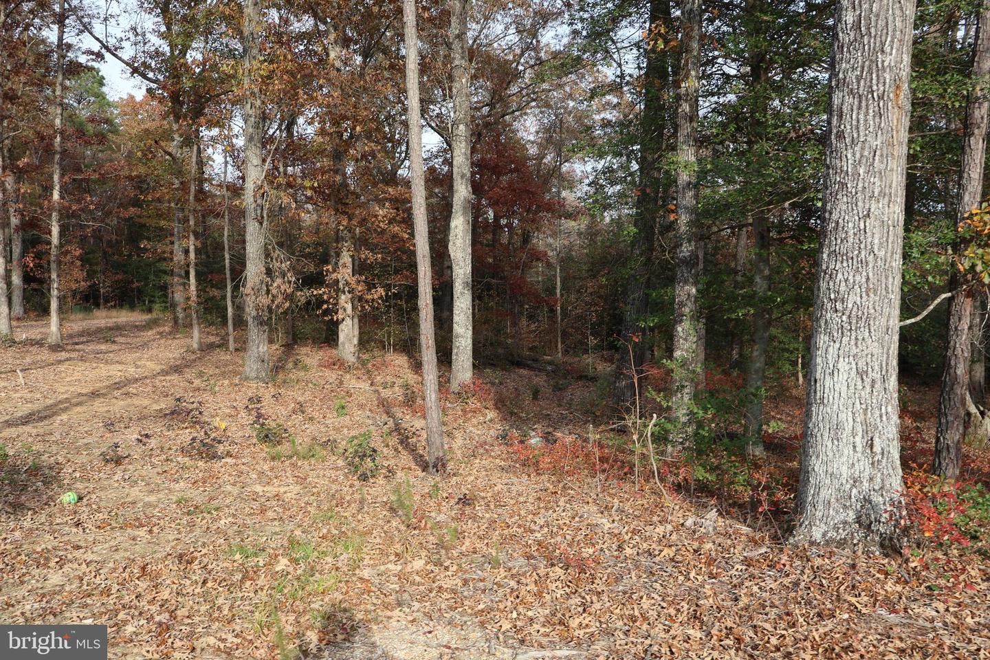 CHARLES CITY, Virginia 23030, 3 Bedrooms Bedrooms, 5 Rooms Rooms,2 BathroomsBathrooms,Residential,For sale,VACS2000058 MLS # VACS2000058