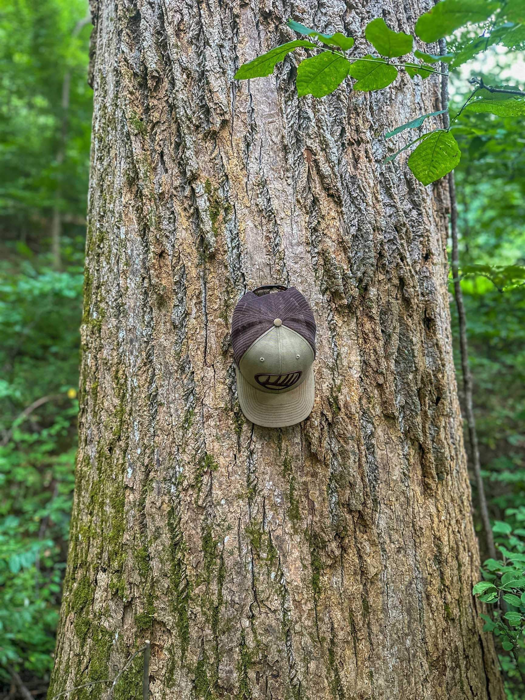 TBD RIDGE ST, LOVINGSTON, Virginia 22949, ,Land,TBD RIDGE ST,671510 MLS # 671510