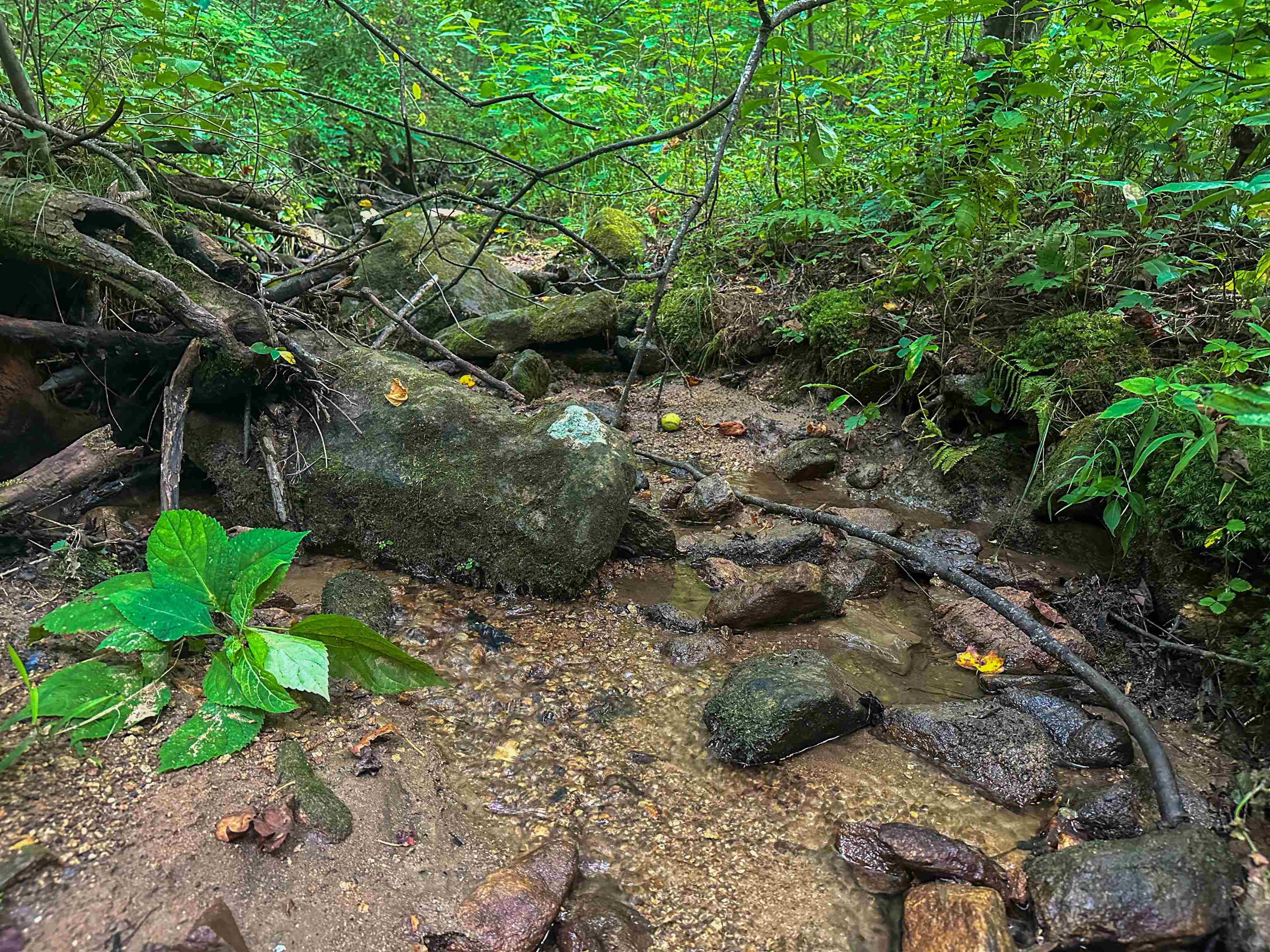 TBD RIDGE ST, LOVINGSTON, Virginia 22949, ,Land,TBD RIDGE ST,671510 MLS # 671510