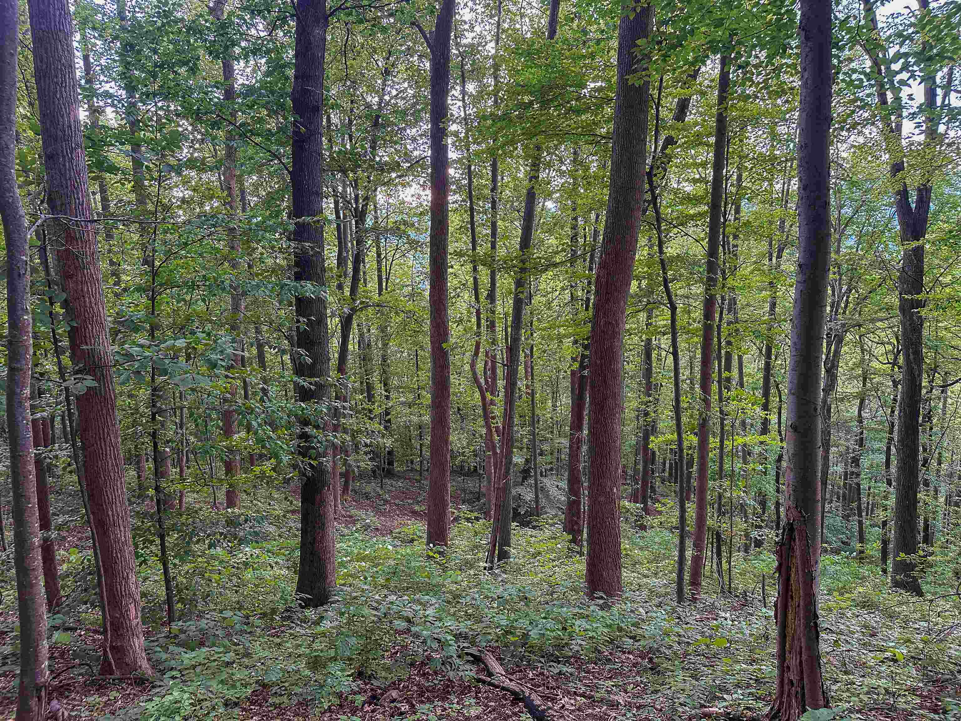 TBD RIDGE ST, LOVINGSTON, Virginia 22949, ,Land,TBD RIDGE ST,671510 MLS # 671510