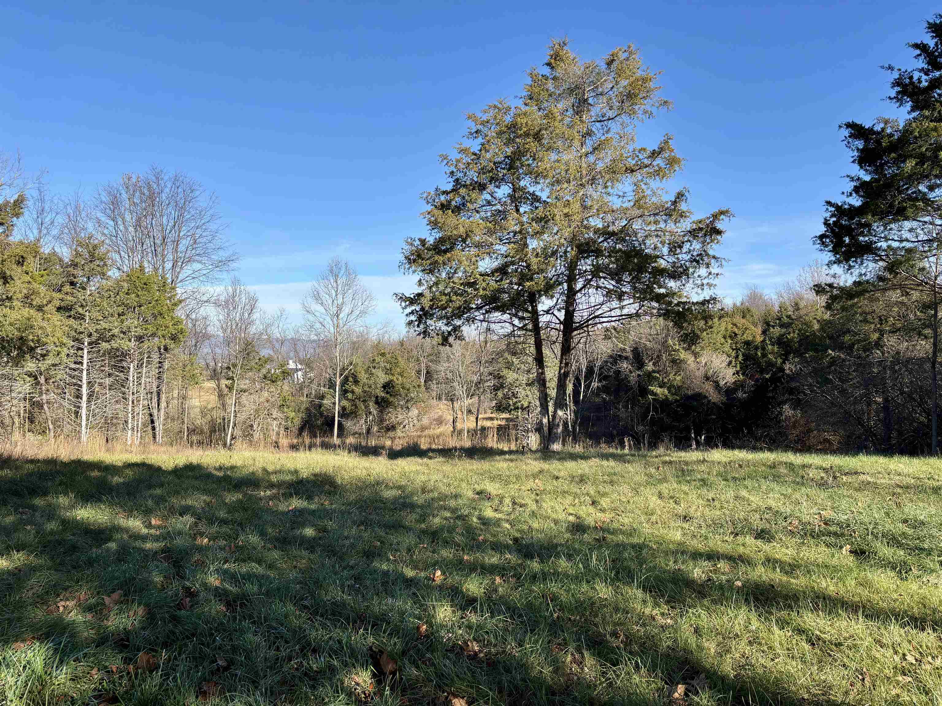 HARPER VALLEY RD, LURAY, Virginia 22835, ,Land,HARPER VALLEY RD,671525 MLS # 671525