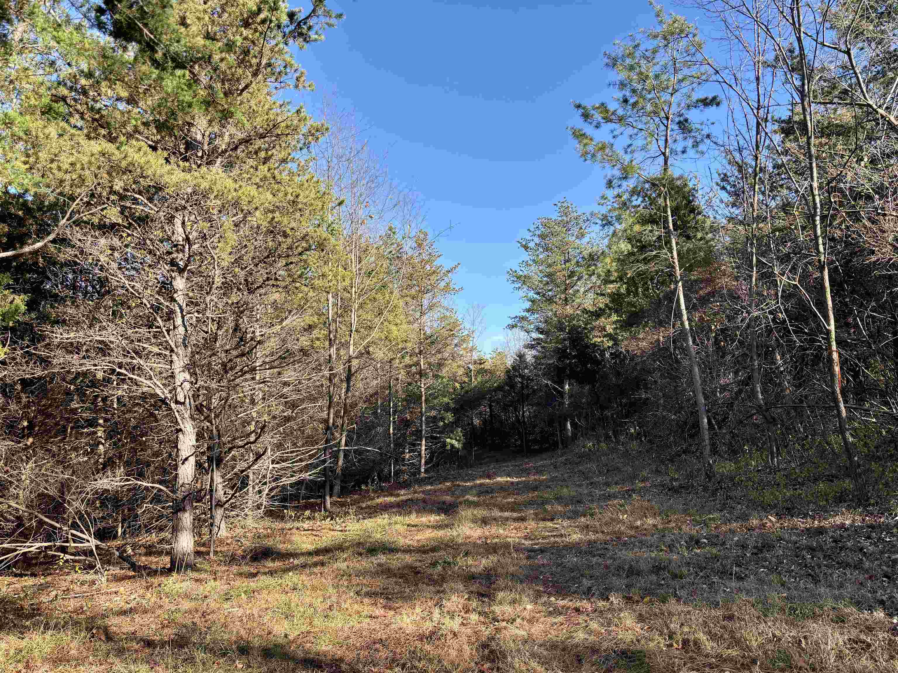 HARPER VALLEY RD, LURAY, Virginia 22835, ,Land,HARPER VALLEY RD,671525 MLS # 671525