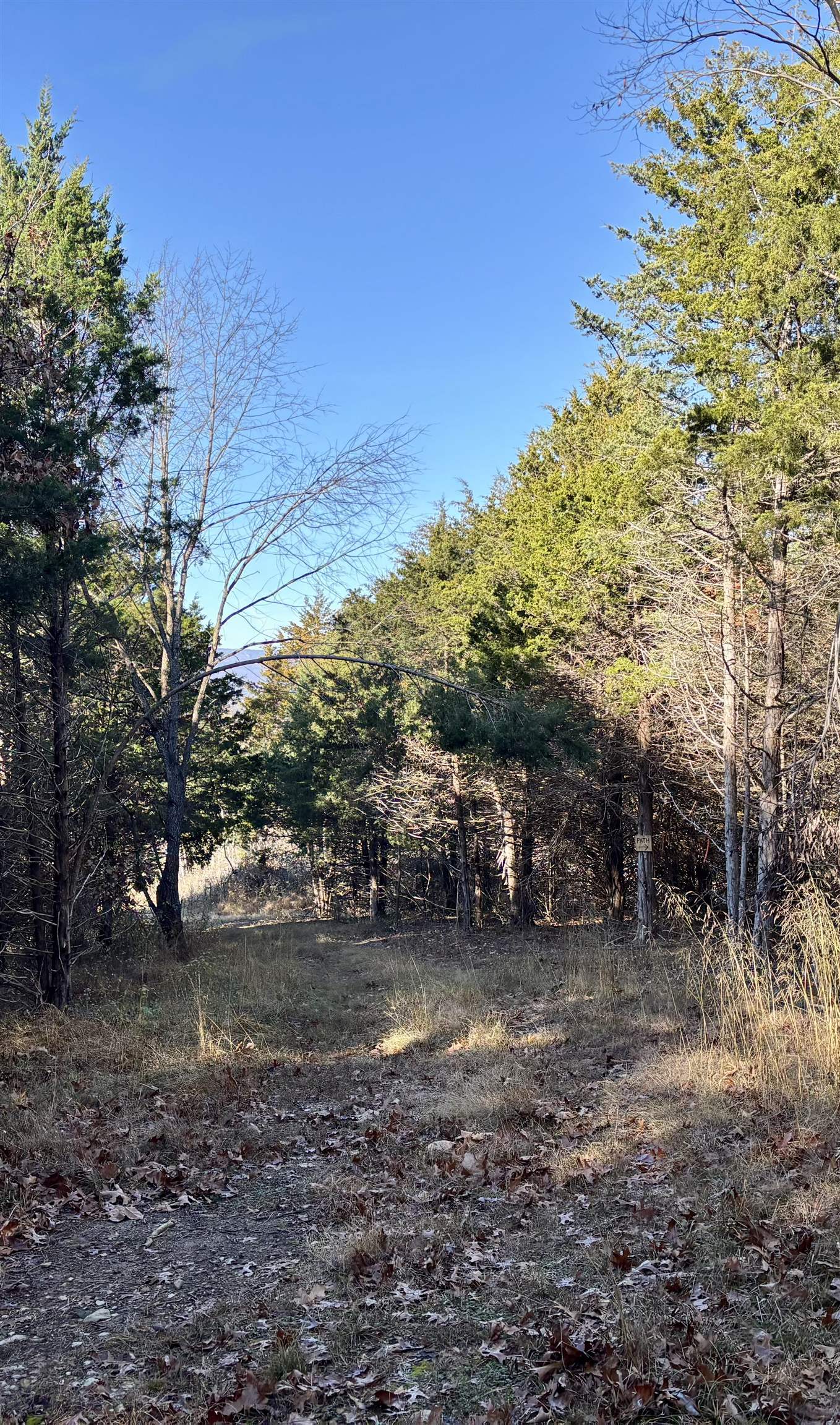 HARPER VALLEY RD, LURAY, Virginia 22835, ,Land,HARPER VALLEY RD,671525 MLS # 671525