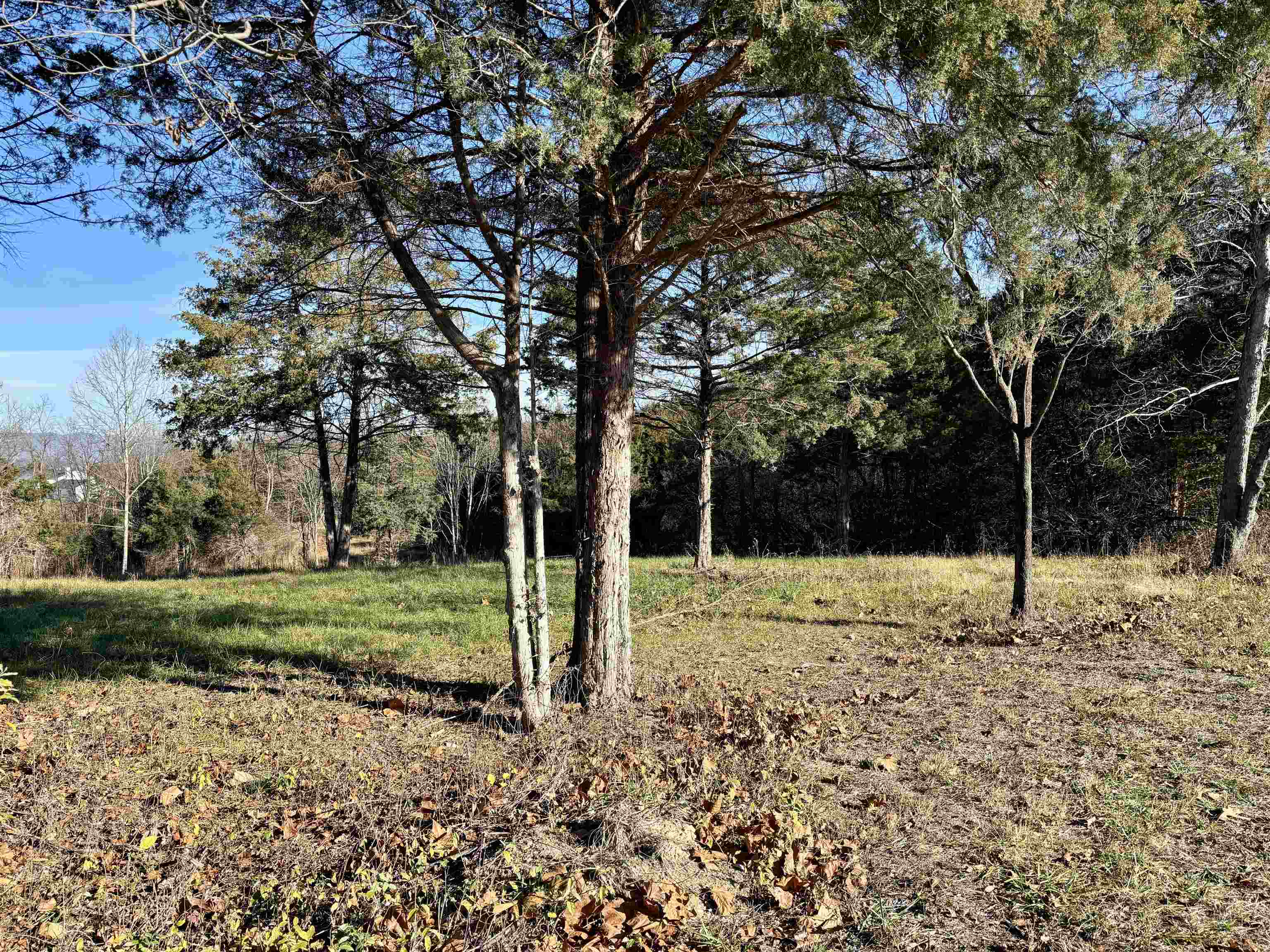 HARPER VALLEY RD, LURAY, Virginia 22835, ,Land,HARPER VALLEY RD,671525 MLS # 671525