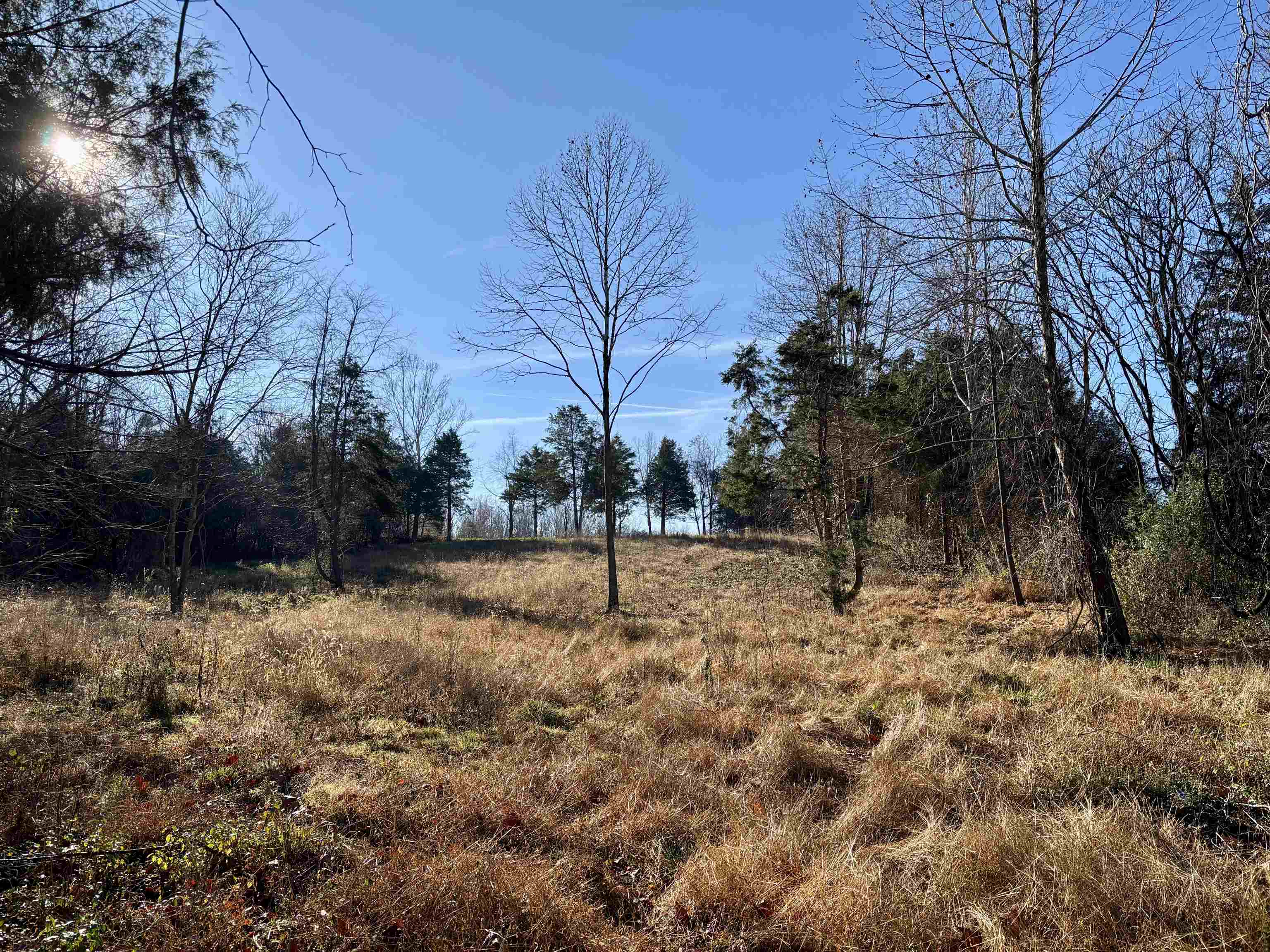 HARPER VALLEY RD, LURAY, Virginia 22835, ,Land,HARPER VALLEY RD,671525 MLS # 671525