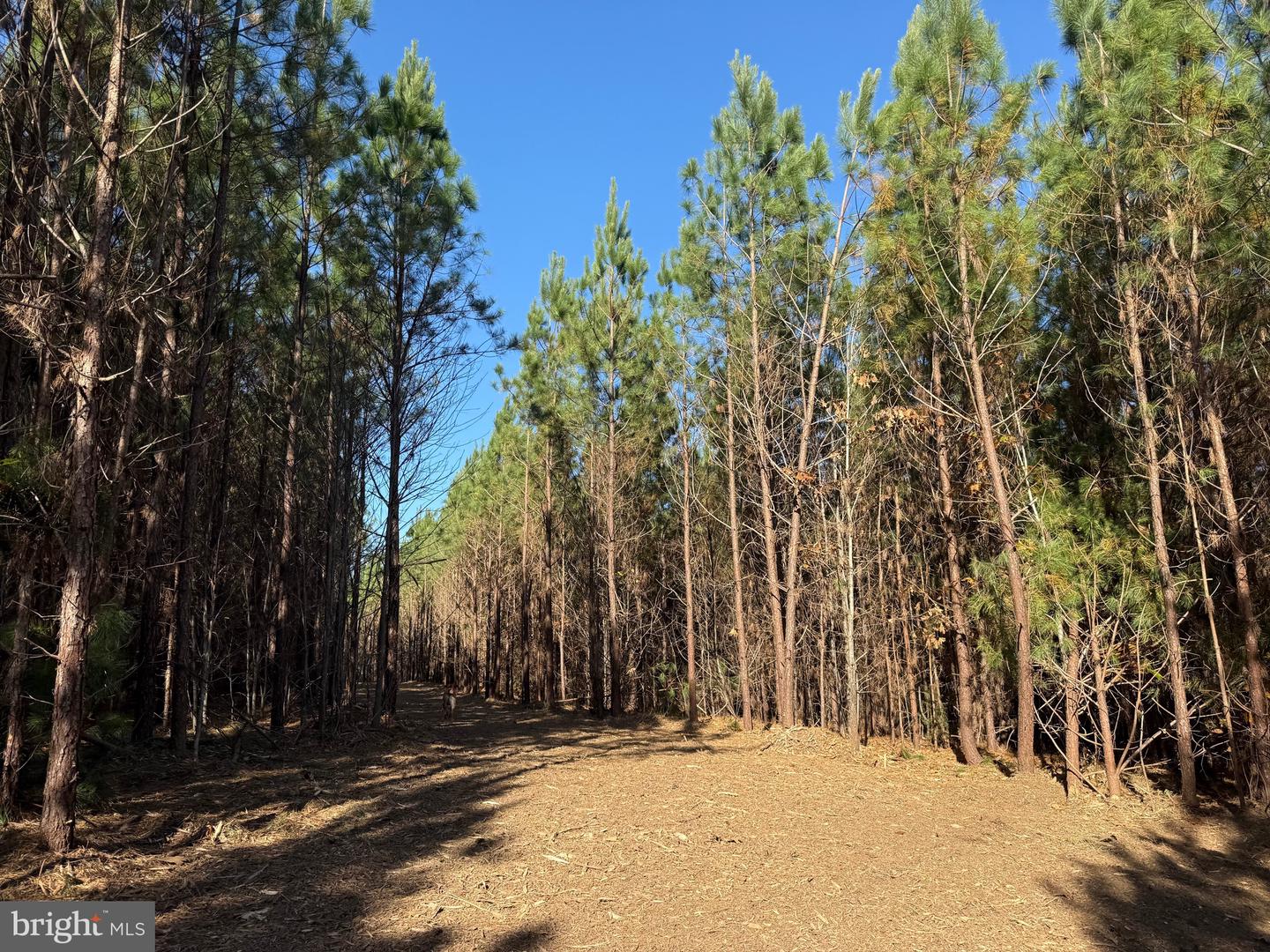 0 HARDWARE RD, SCOTTSVILLE, Virginia 24562, ,Land,For sale,0 HARDWARE RD,VABH2000240 MLS # VABH2000240