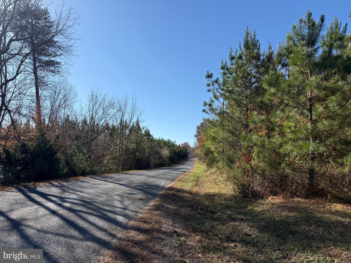 0 HARDWARE RD, SCOTTSVILLE, Virginia 24562, ,Land,For sale,0 HARDWARE RD,VABH2000240 MLS # VABH2000240