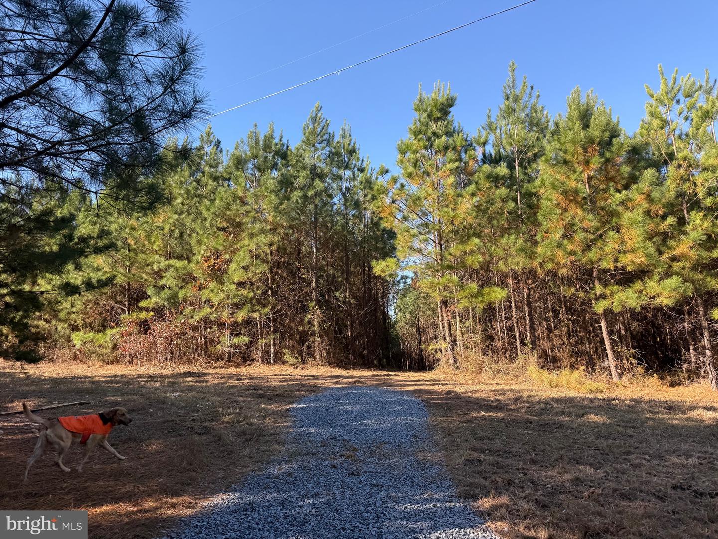 0 HARDWARE RD, SCOTTSVILLE, Virginia 24562, ,Land,For sale,0 HARDWARE RD,VABH2000240 MLS # VABH2000240