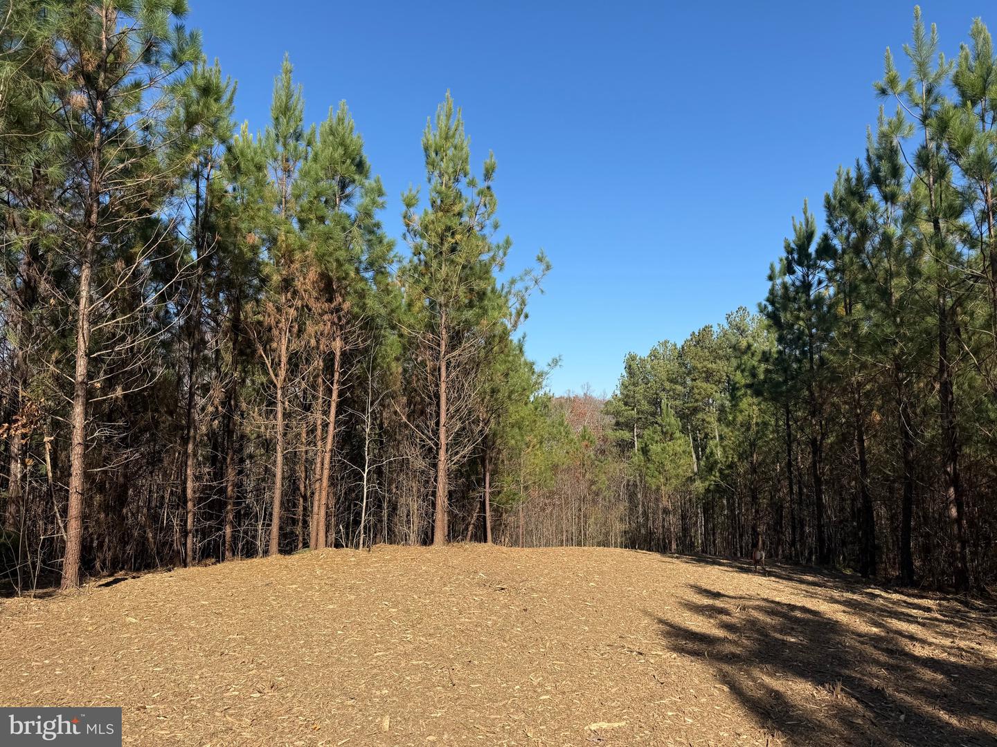 0 HARDWARE RD, SCOTTSVILLE, Virginia 24562, ,Land,For sale,0 HARDWARE RD,VABH2000240 MLS # VABH2000240