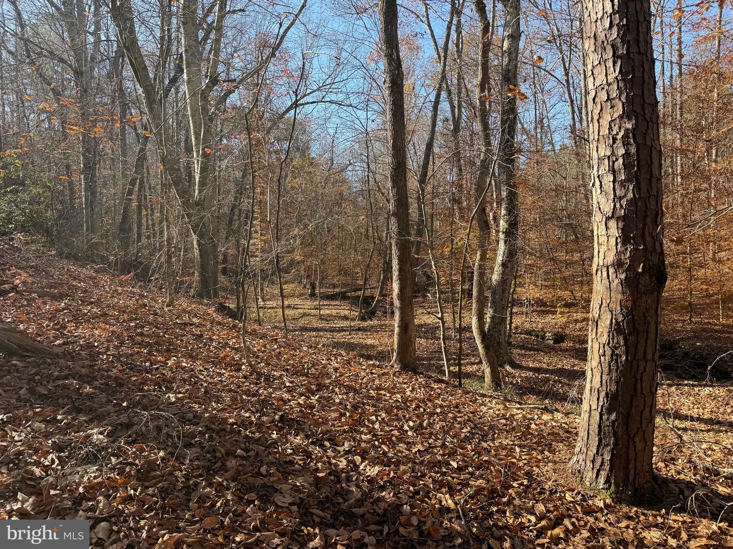 0 HARDWARE RD, SCOTTSVILLE, Virginia 24562, ,Land,For sale,0 HARDWARE RD,VABH2000240 MLS # VABH2000240