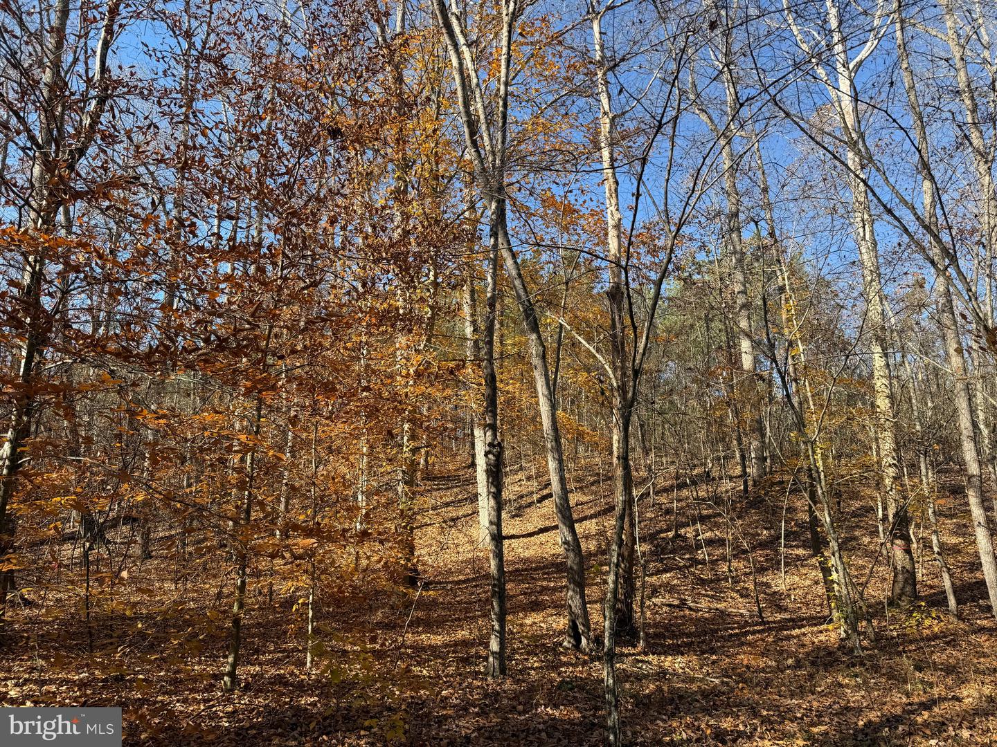 0 HARDWARE RD, SCOTTSVILLE, Virginia 24562, ,Land,For sale,0 HARDWARE RD,VABH2000240 MLS # VABH2000240