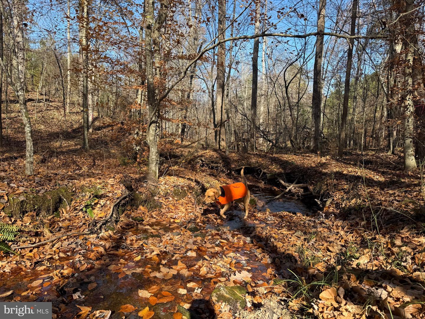 0 HARDWARE RD, SCOTTSVILLE, Virginia 24562, ,Land,For sale,0 HARDWARE RD,VABH2000240 MLS # VABH2000240