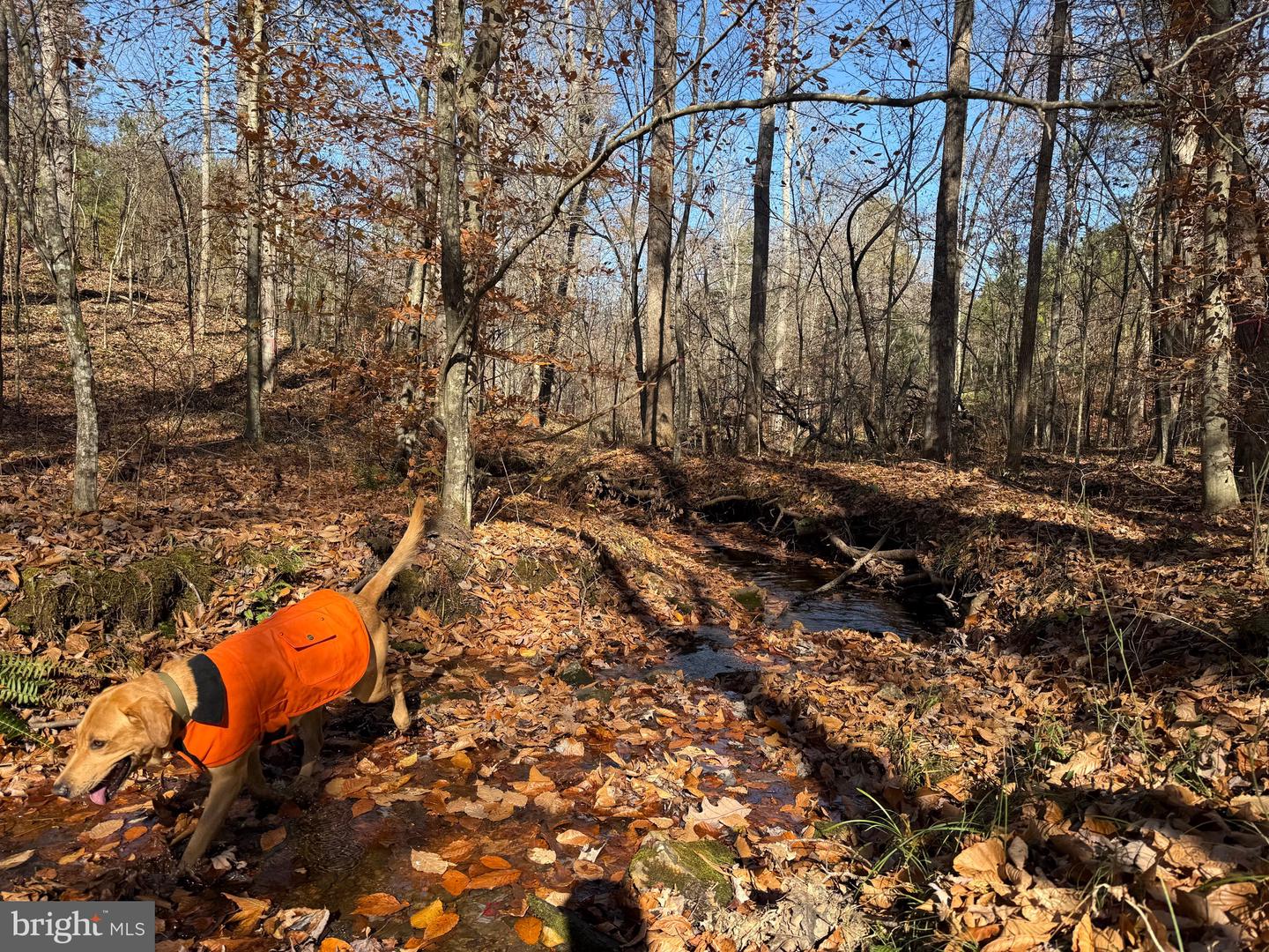 0 HARDWARE RD, SCOTTSVILLE, Virginia 24562, ,Land,For sale,0 HARDWARE RD,VABH2000240 MLS # VABH2000240