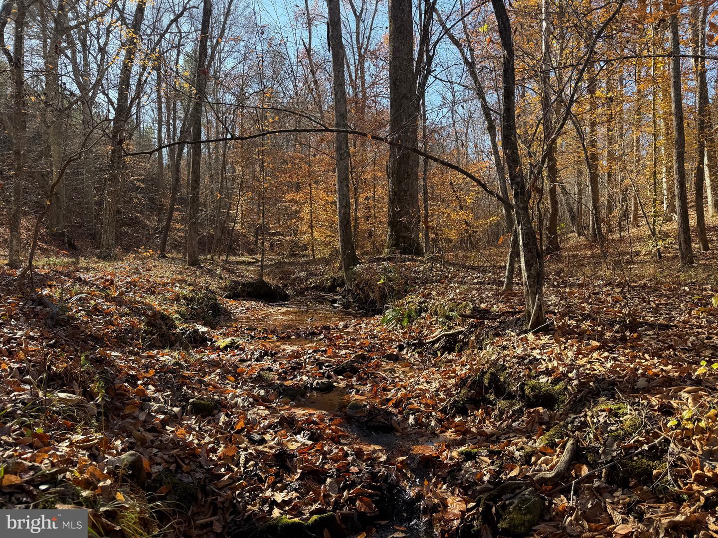 0 HARDWARE RD, SCOTTSVILLE, Virginia 24562, ,Land,For sale,0 HARDWARE RD,VABH2000240 MLS # VABH2000240