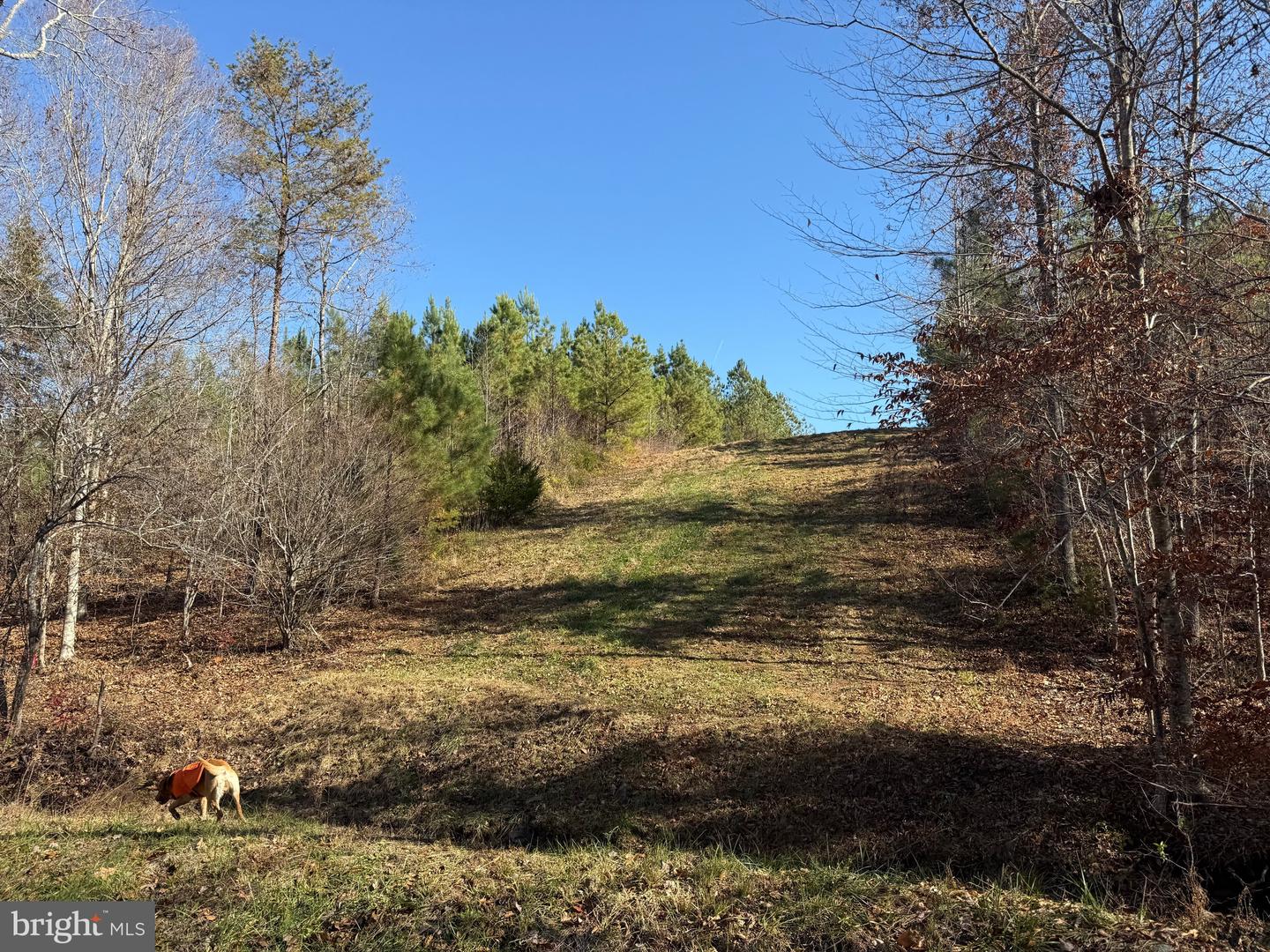 0 HARDWARE RD, SCOTTSVILLE, Virginia 24562, ,Land,For sale,0 HARDWARE RD,VABH2000240 MLS # VABH2000240