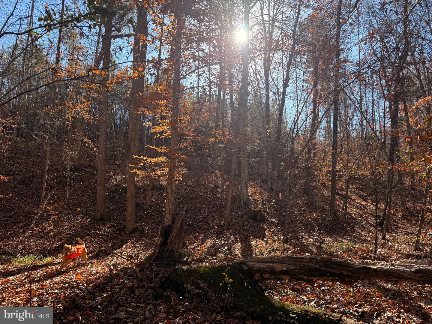 0 HARDWARE RD, SCOTTSVILLE, Virginia 24562, ,Land,For sale,0 HARDWARE RD,VABH2000240 MLS # VABH2000240