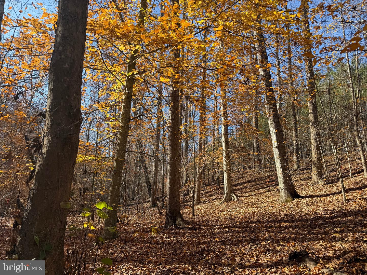 0 HARDWARE RD, SCOTTSVILLE, Virginia 24562, ,Land,For sale,0 HARDWARE RD,VABH2000240 MLS # VABH2000240