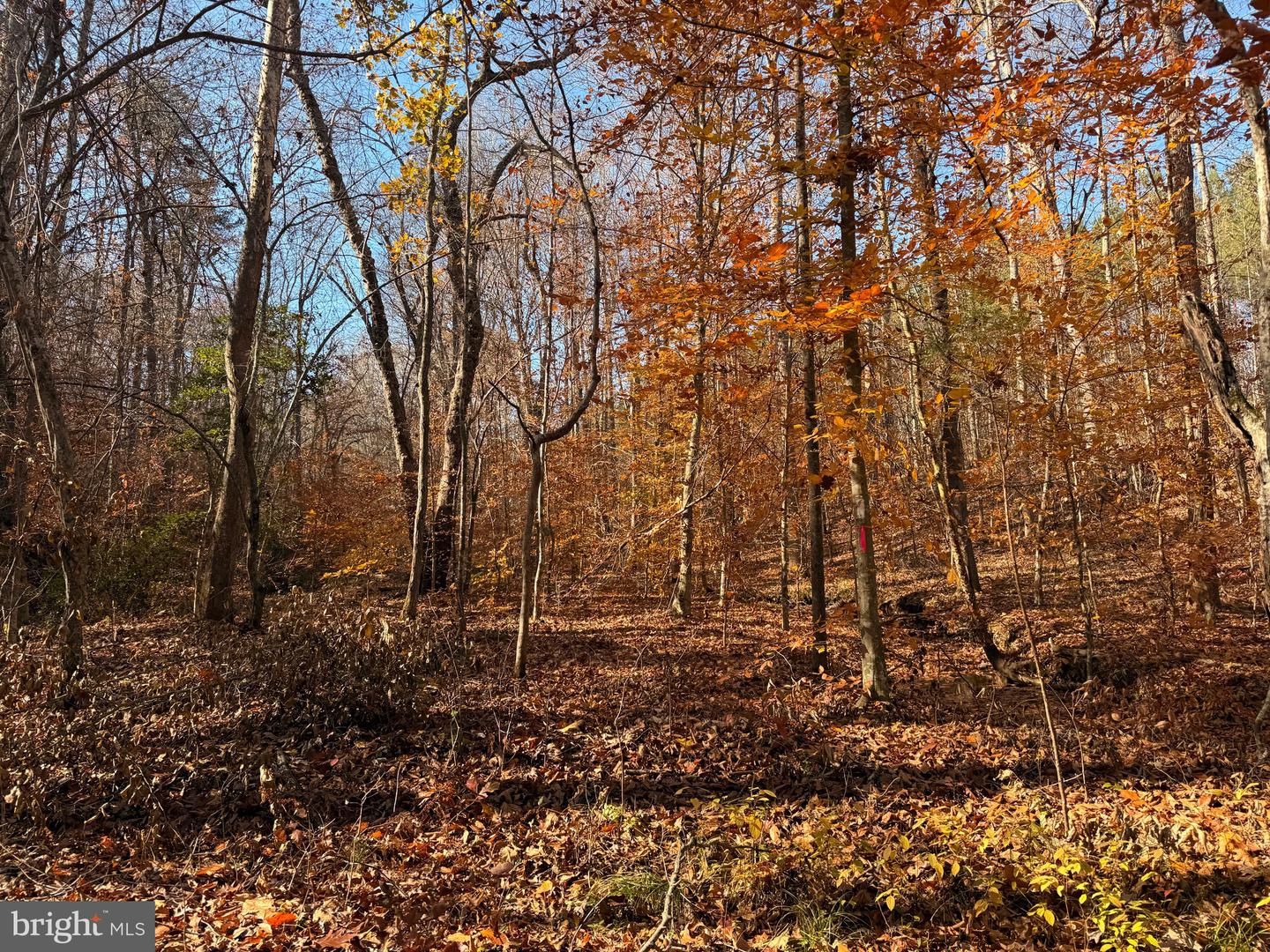 0 HARDWARE RD, SCOTTSVILLE, Virginia 24562, ,Land,For sale,0 HARDWARE RD,VABH2000240 MLS # VABH2000240