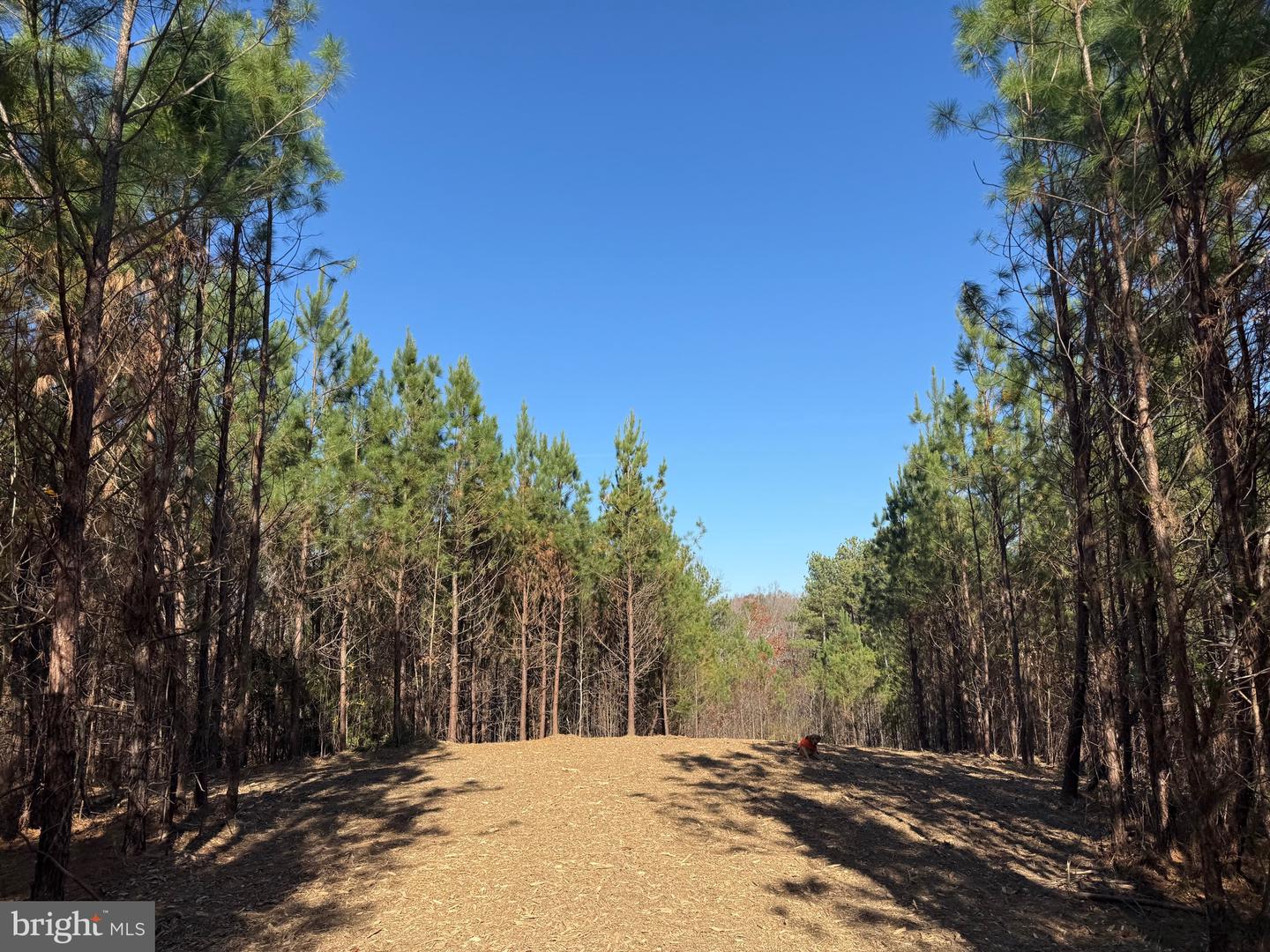 0 HARDWARE RD, SCOTTSVILLE, Virginia 24562, ,Land,For sale,0 HARDWARE RD,VABH2000240 MLS # VABH2000240