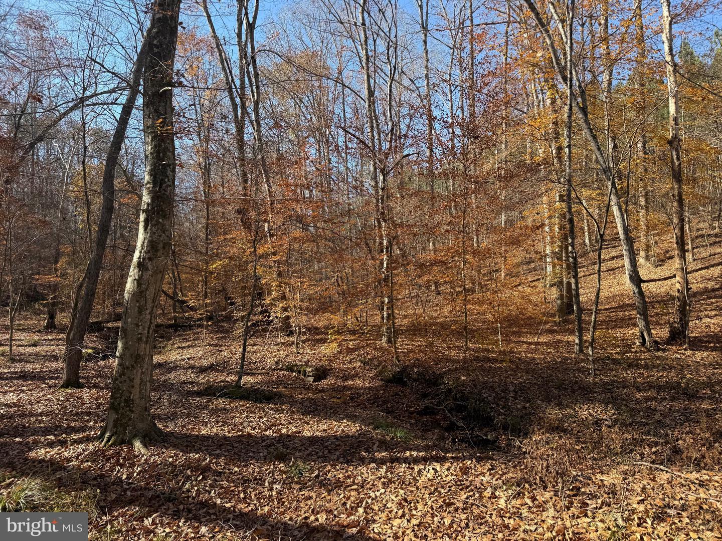 0 HARDWARE RD, SCOTTSVILLE, Virginia 24562, ,Land,For sale,0 HARDWARE RD,VABH2000240 MLS # VABH2000240