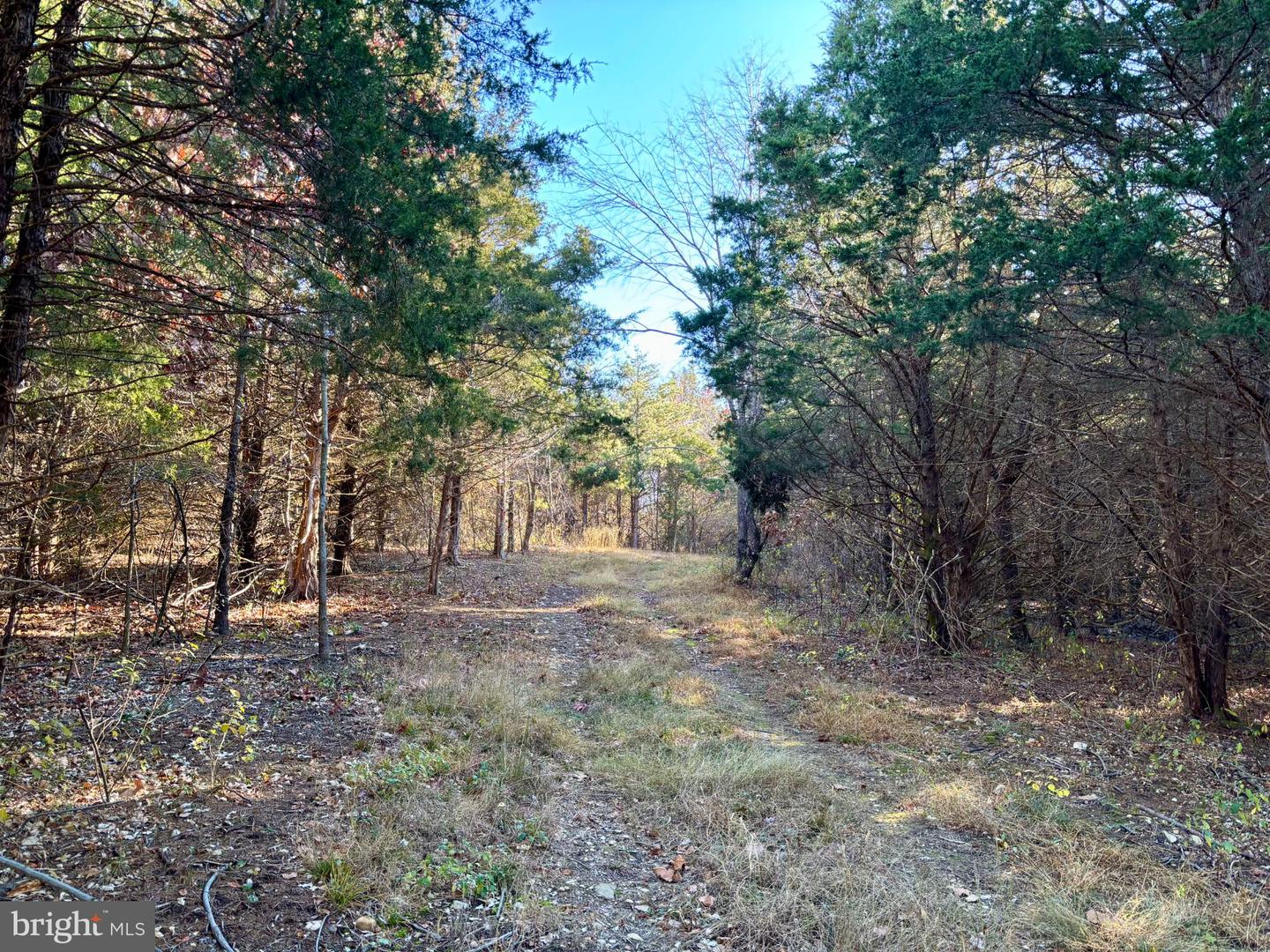 HARPER VALLEY RD, LURAY, Virginia 22835, ,Land,For sale,HARPER VALLEY RD,VAPA2005668 MLS # VAPA2005668 HARPER VALLEY RD, LURAY, Virginia 22835, ,Land,For sale,HARPER VALLEY RD,VAPA2005668 MLS # VAPA2005668