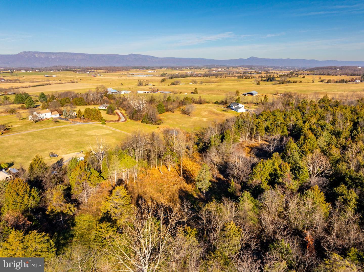 HARPER VALLEY RD, LURAY, Virginia 22835, ,Land,For sale,HARPER VALLEY RD,VAPA2005668 MLS # VAPA2005668 HARPER VALLEY RD, LURAY, Virginia 22835, ,Land,For sale,HARPER VALLEY RD,VAPA2005668 MLS # VAPA2005668