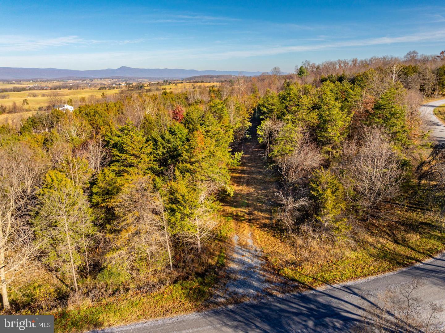 HARPER VALLEY RD, LURAY, Virginia 22835, ,Land,For sale,HARPER VALLEY RD,VAPA2005668 MLS # VAPA2005668 HARPER VALLEY RD, LURAY, Virginia 22835, ,Land,For sale,HARPER VALLEY RD,VAPA2005668 MLS # VAPA2005668