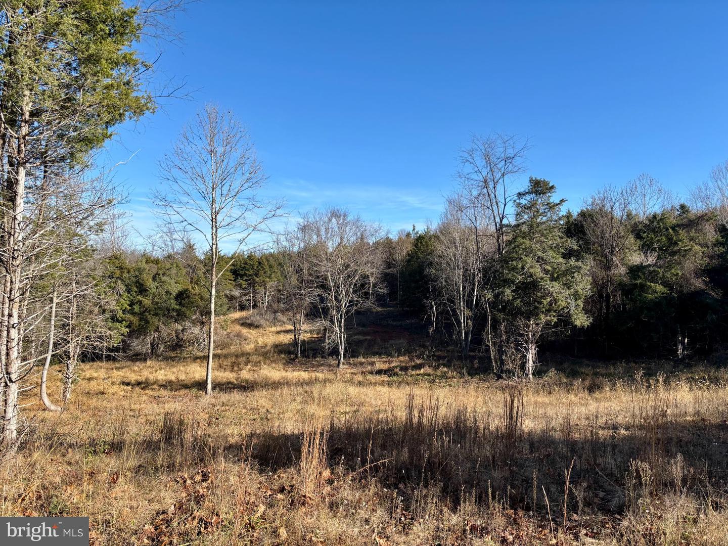HARPER VALLEY RD, LURAY, Virginia 22835, ,Land,For sale,HARPER VALLEY RD,VAPA2005668 MLS # VAPA2005668 HARPER VALLEY RD, LURAY, Virginia 22835, ,Land,For sale,HARPER VALLEY RD,VAPA2005668 MLS # VAPA2005668