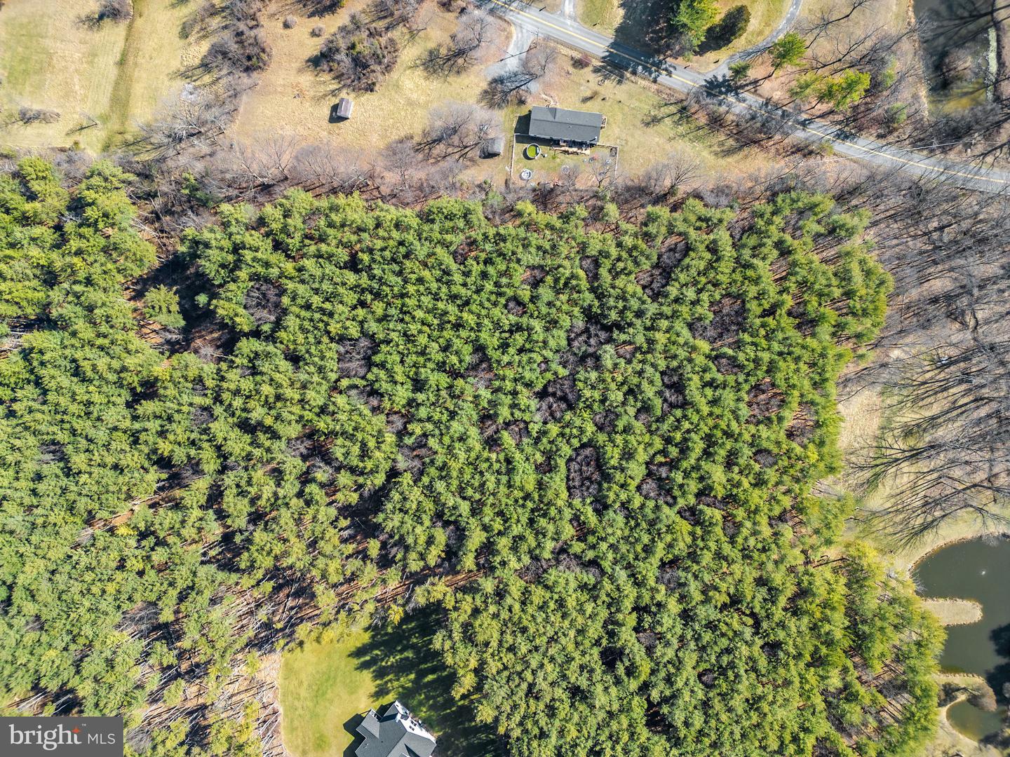 LOT 2D WOODS MILL, STEPHENSON, Virginia 22656, ,Land,For sale,LOT 2D WOODS MILL,VAFV2038260 MLS # VAFV2038260 LOT 2D WOODS MILL, STEPHENSON, Virginia 22656, ,Land,For sale,LOT 2D WOODS MILL,VAFV2038260 MLS # VAFV2038260